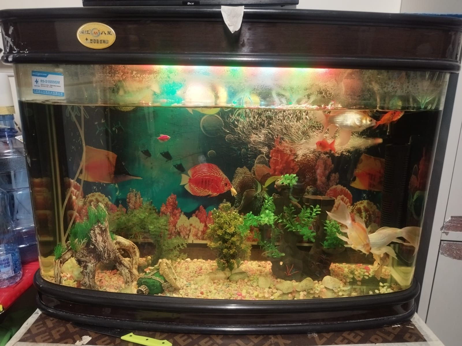 Aquarium with all items  - Image 3