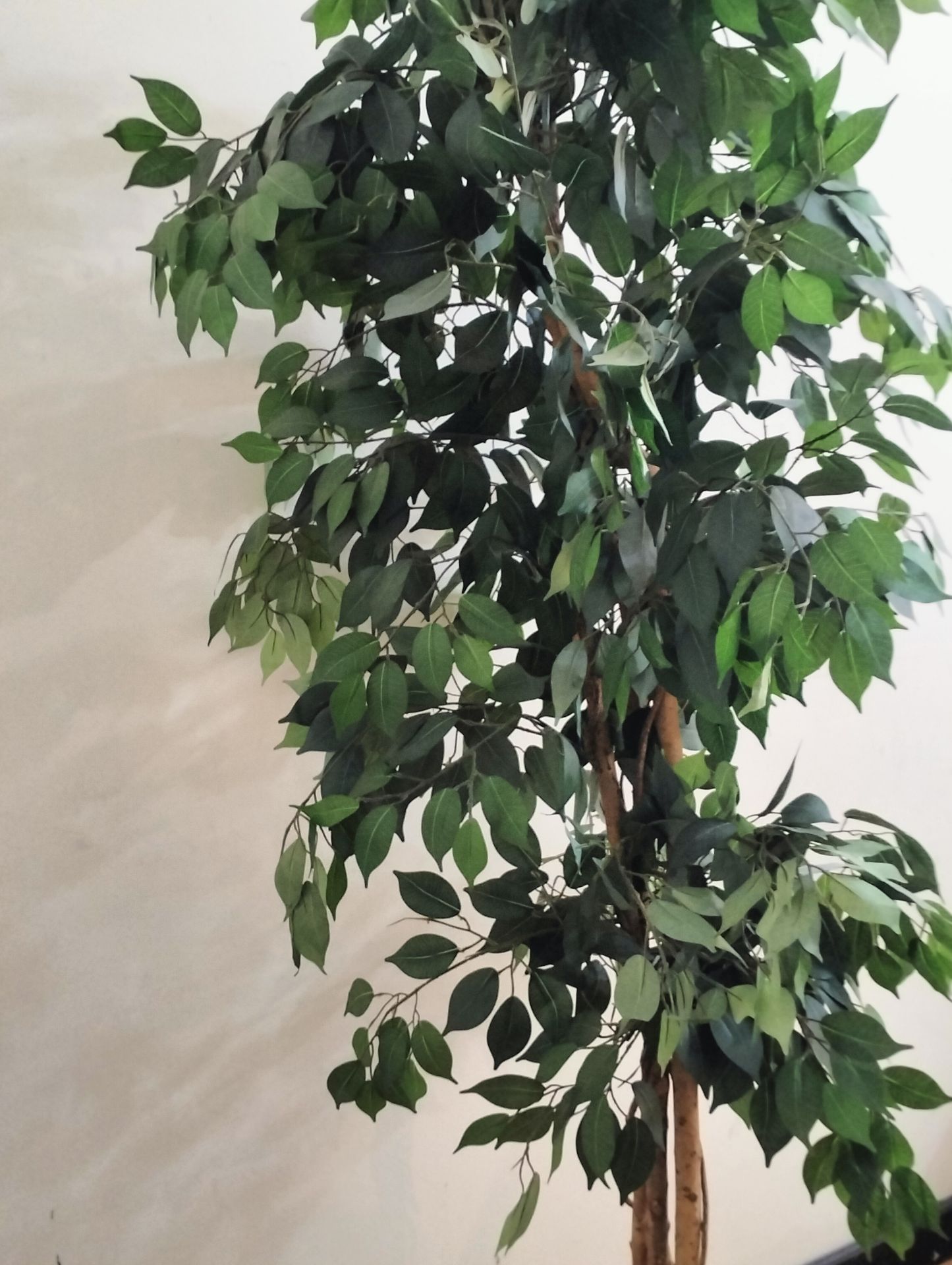 Artificial plant - Image 6