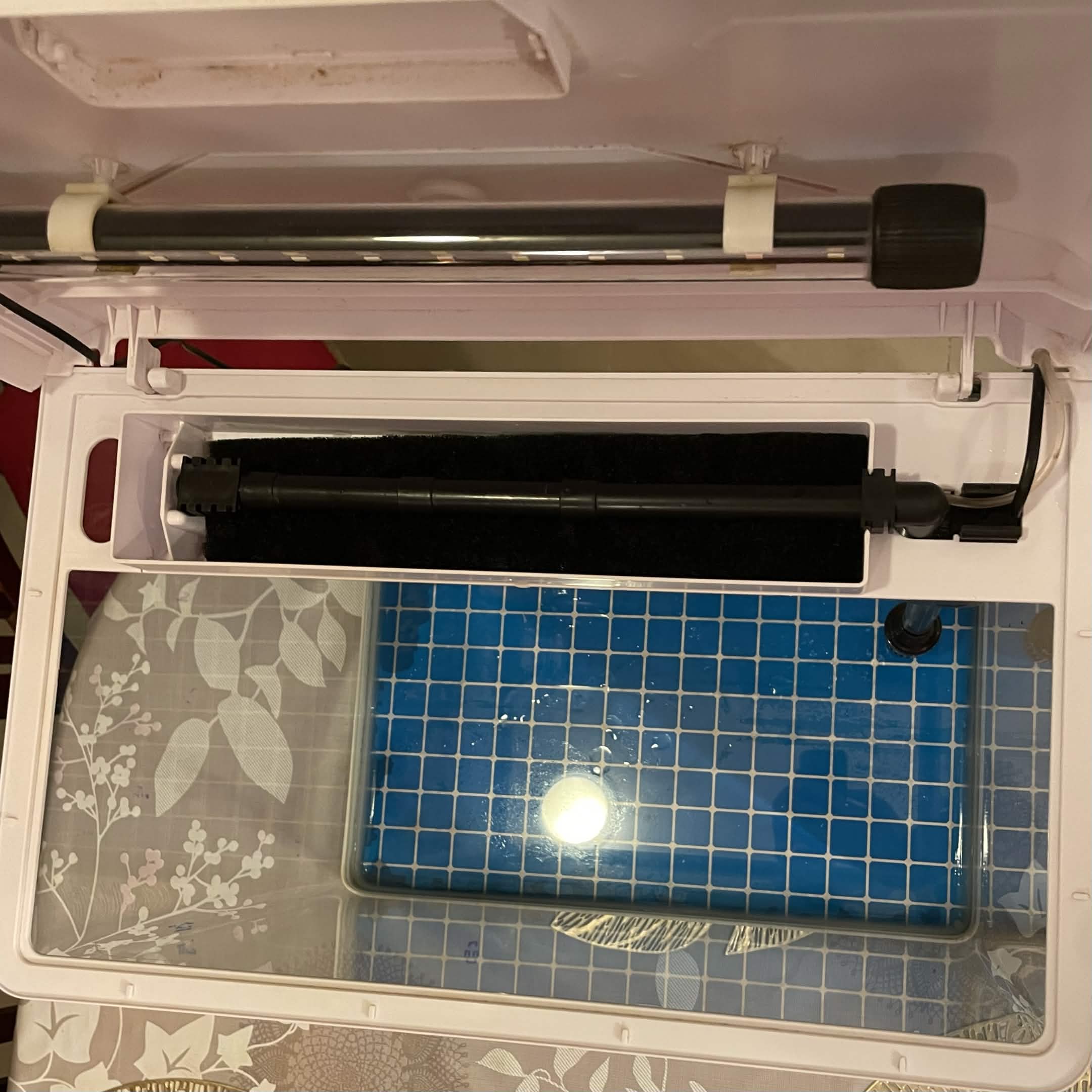 60 liters/15 gallons fish tank - Image 5