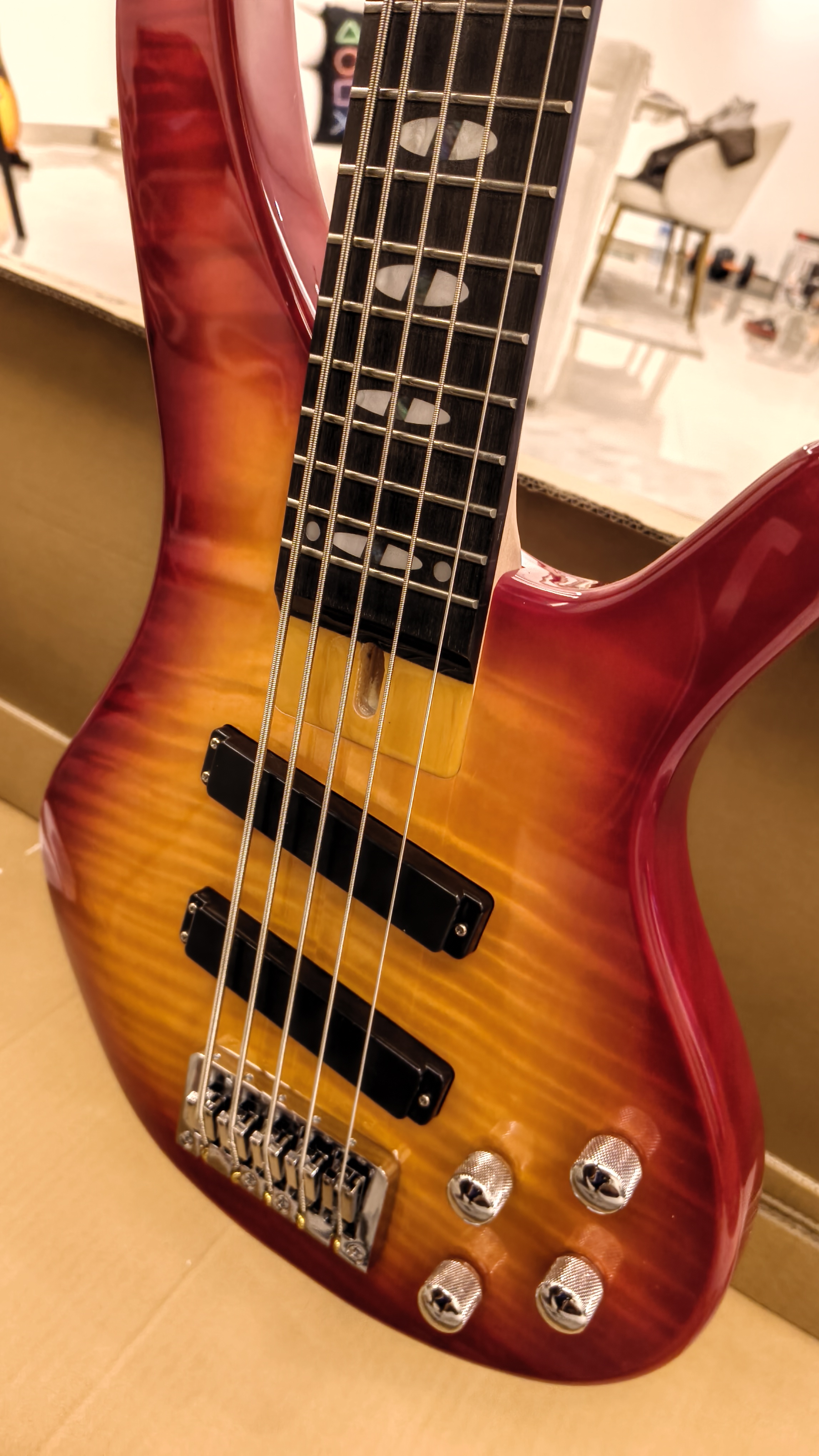 5 String Custom Bass - Image 4
