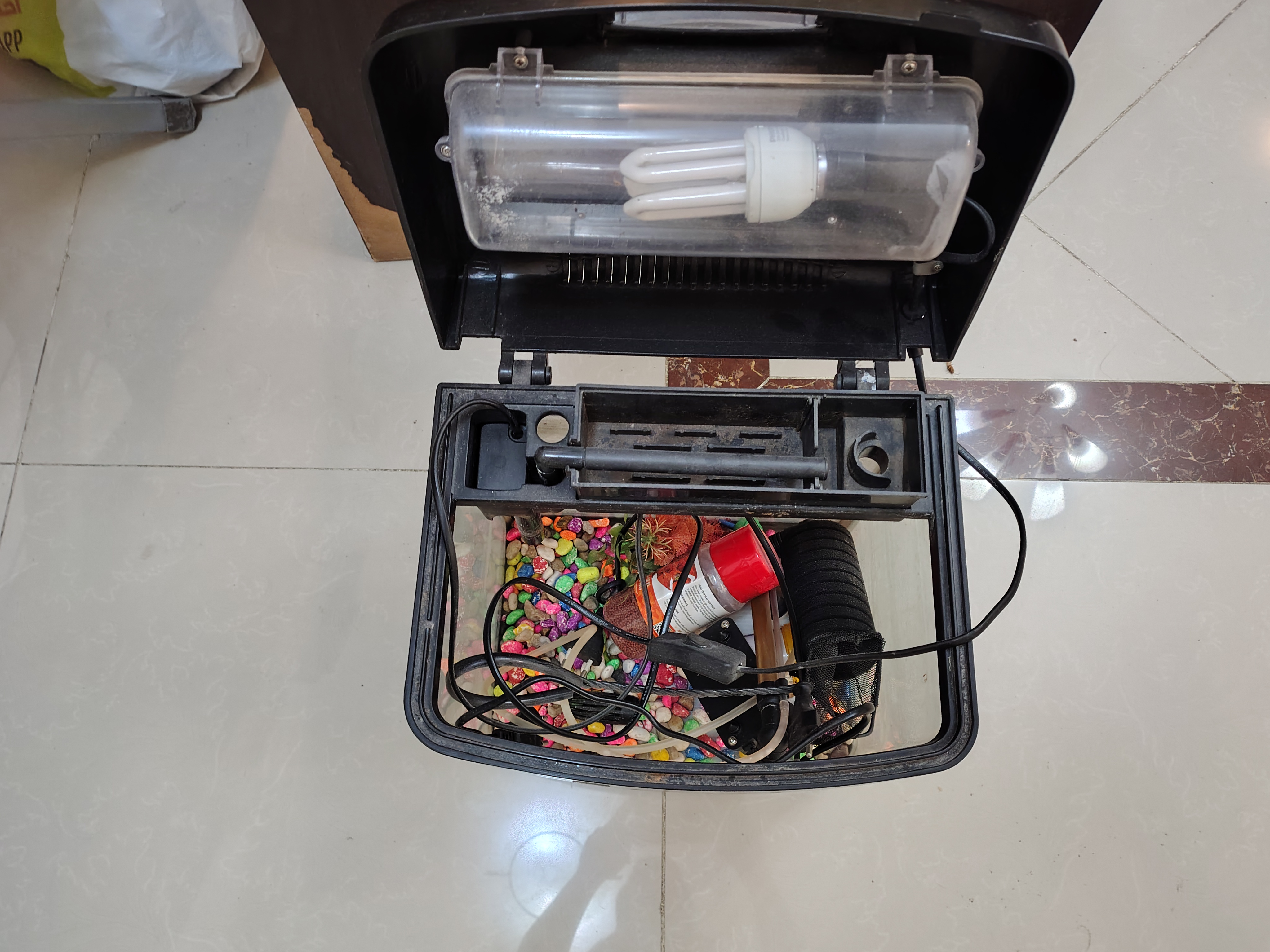 smalll aquarium for sale - Image 8