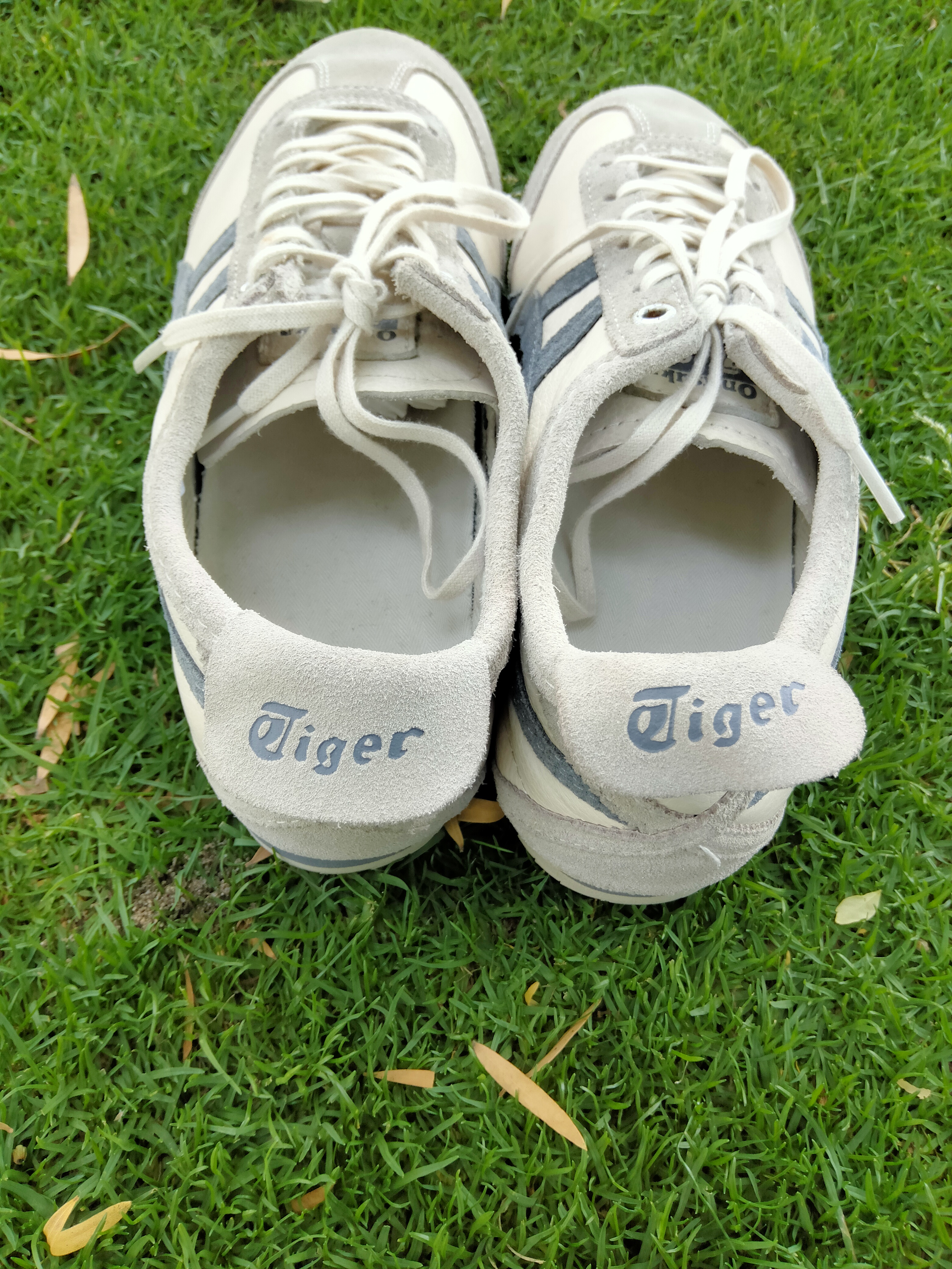 Onitsuka Tiger Mexico 66 SD - Image 7