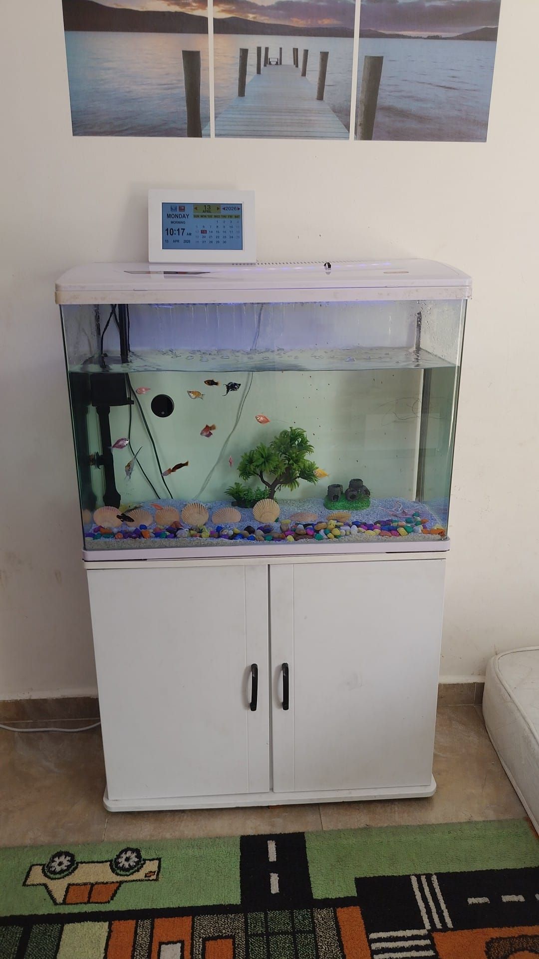 Aquarium - Image 5
