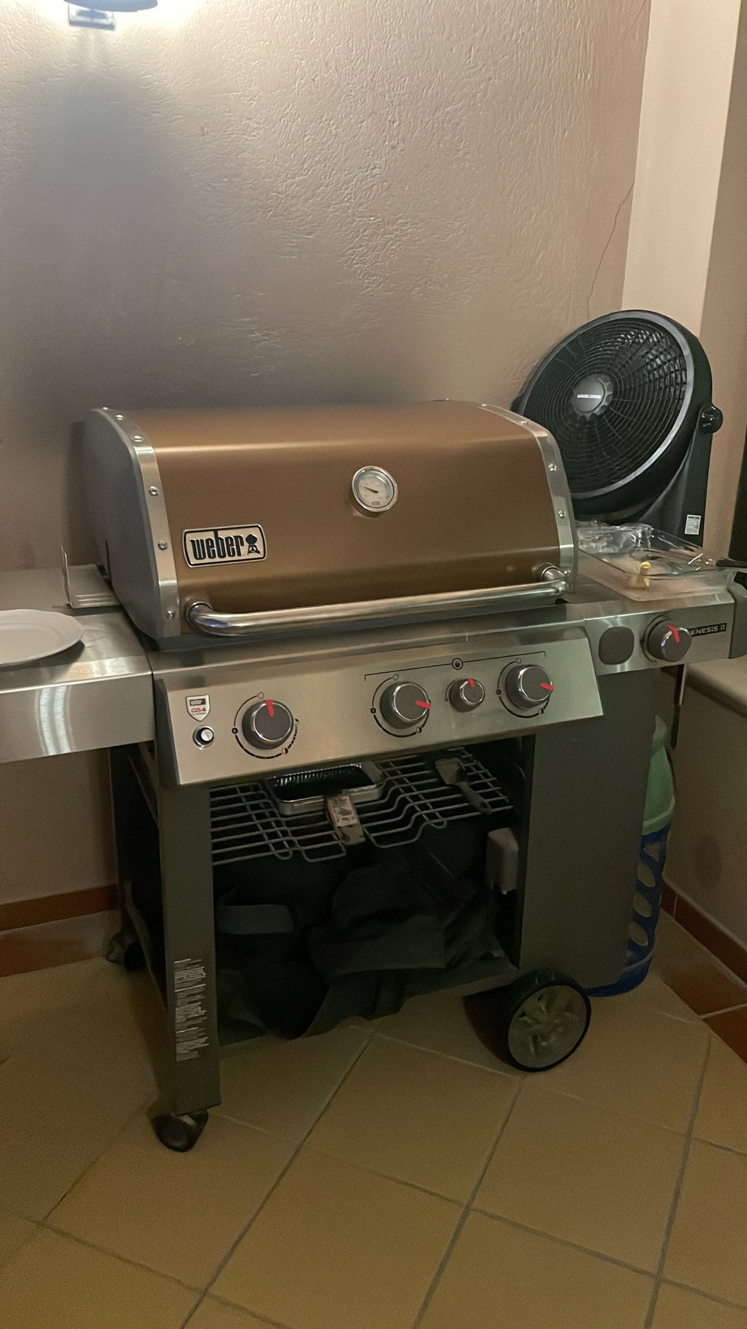 Weber genesis II - Image 5