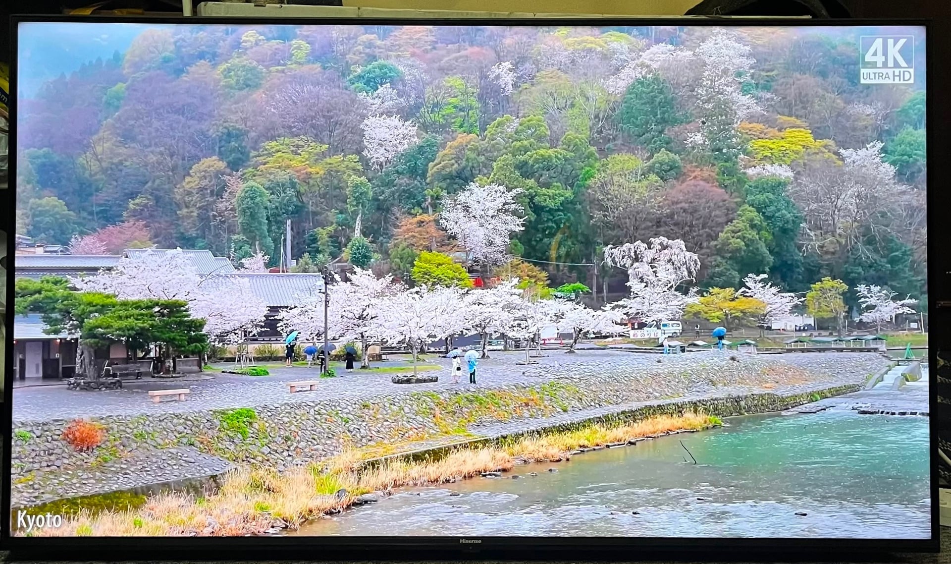 Slide 1