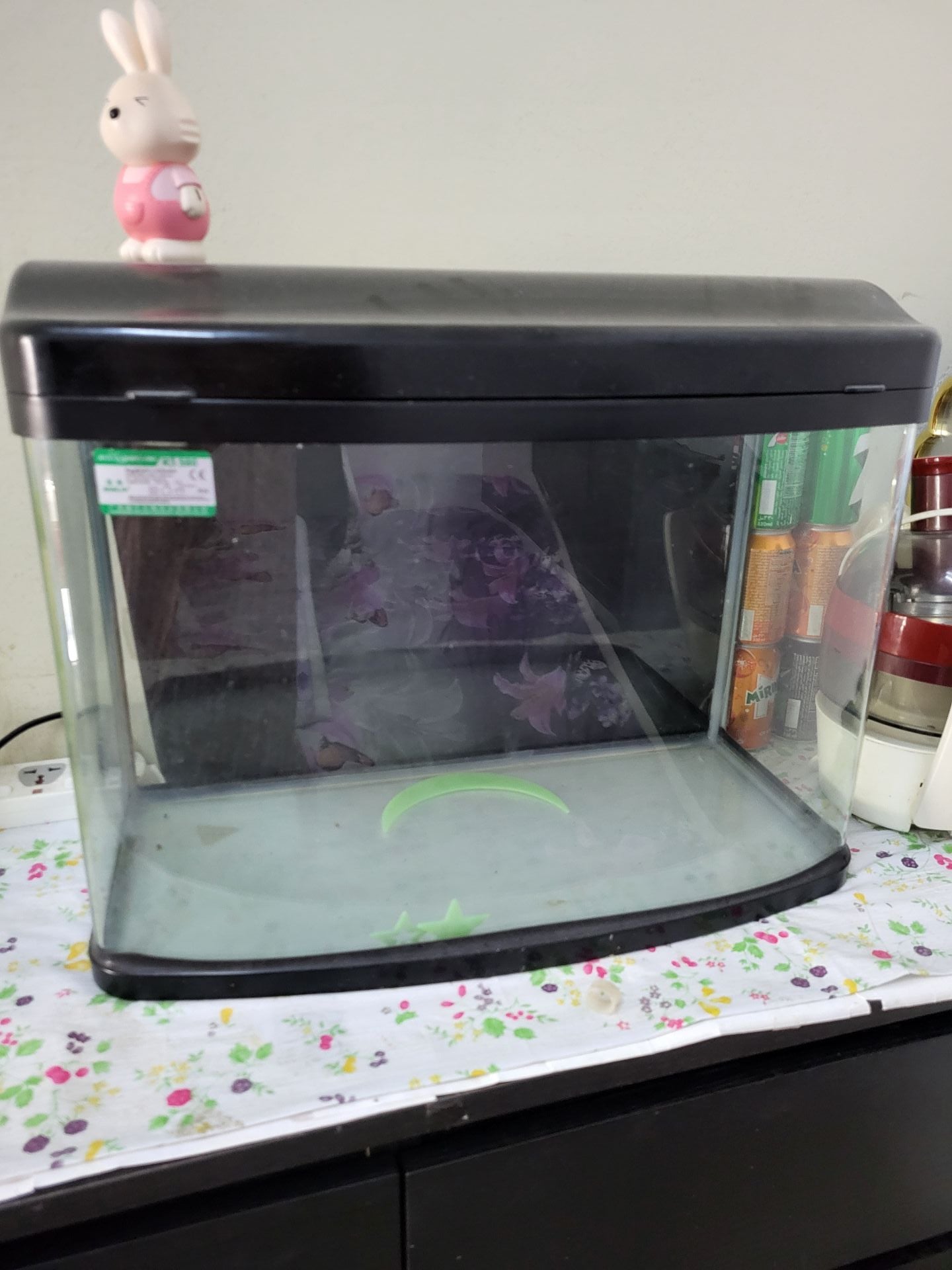 Fish tank - Image 6