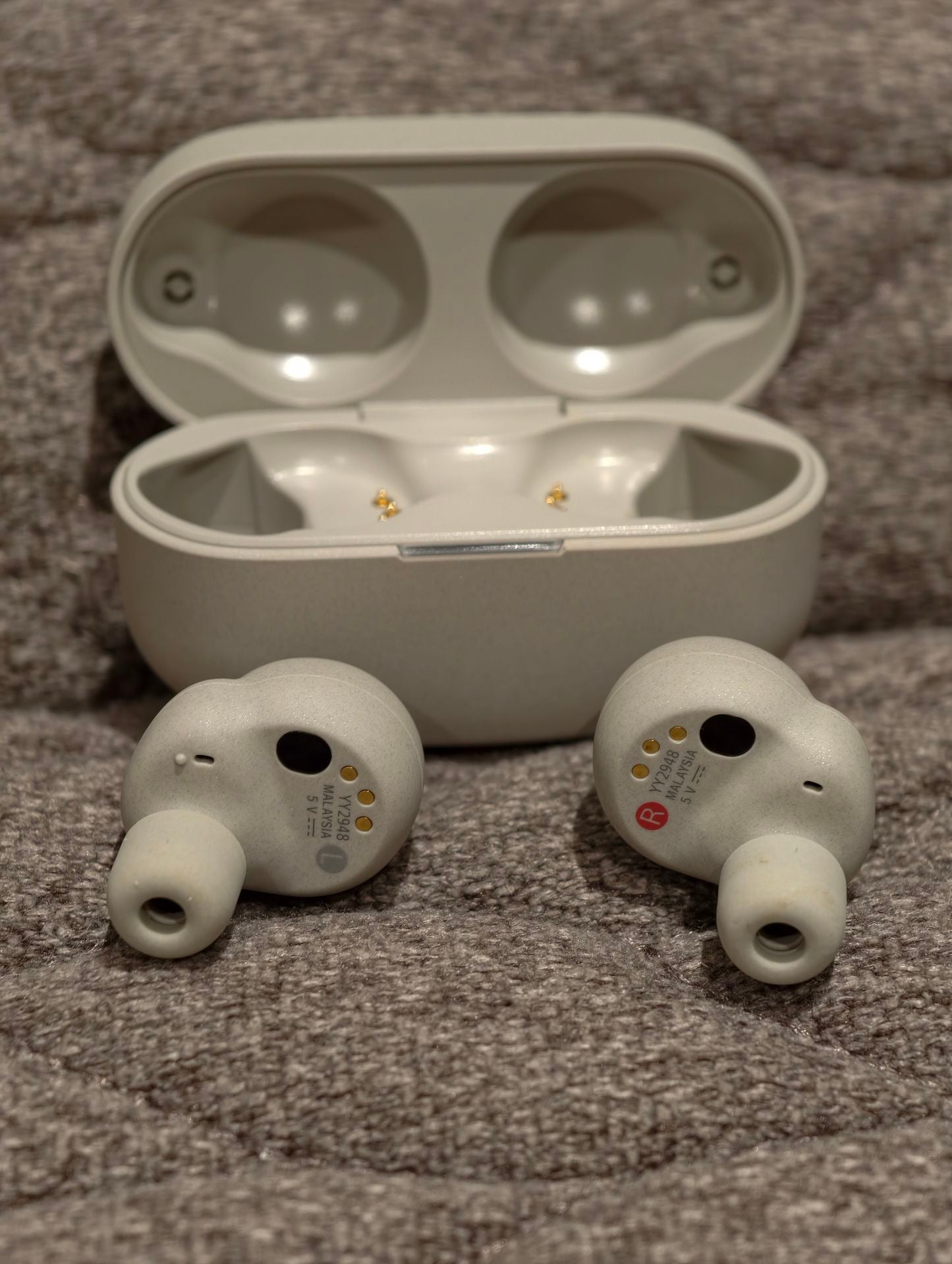 Sony WF-1000XM4 - Image 2