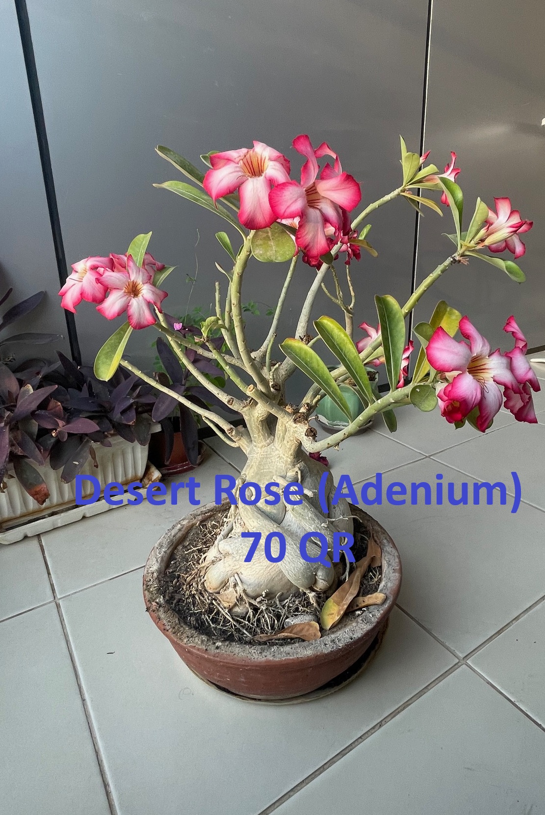 Slide 3