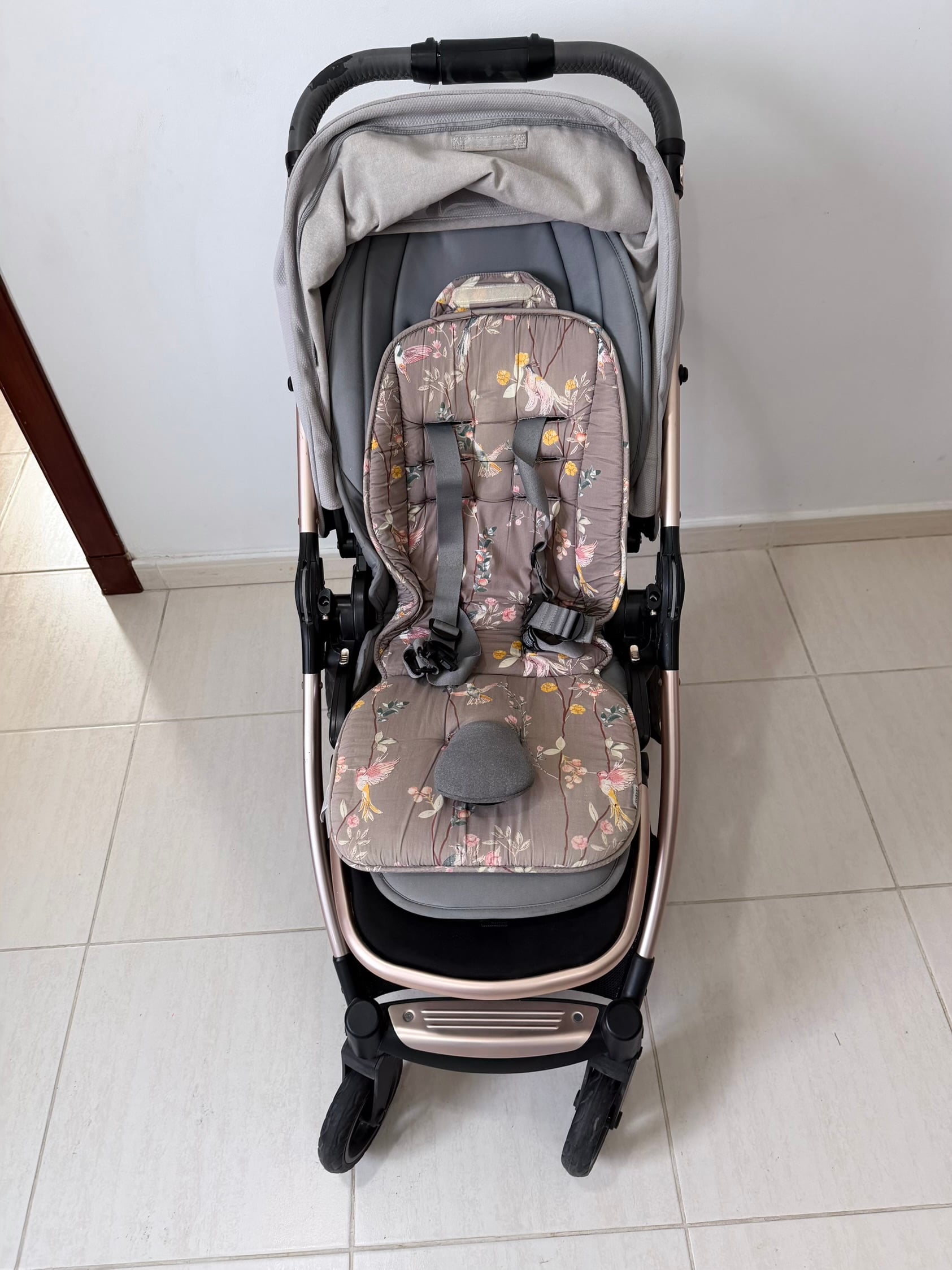 Stroller Papas and mamas - Image 2