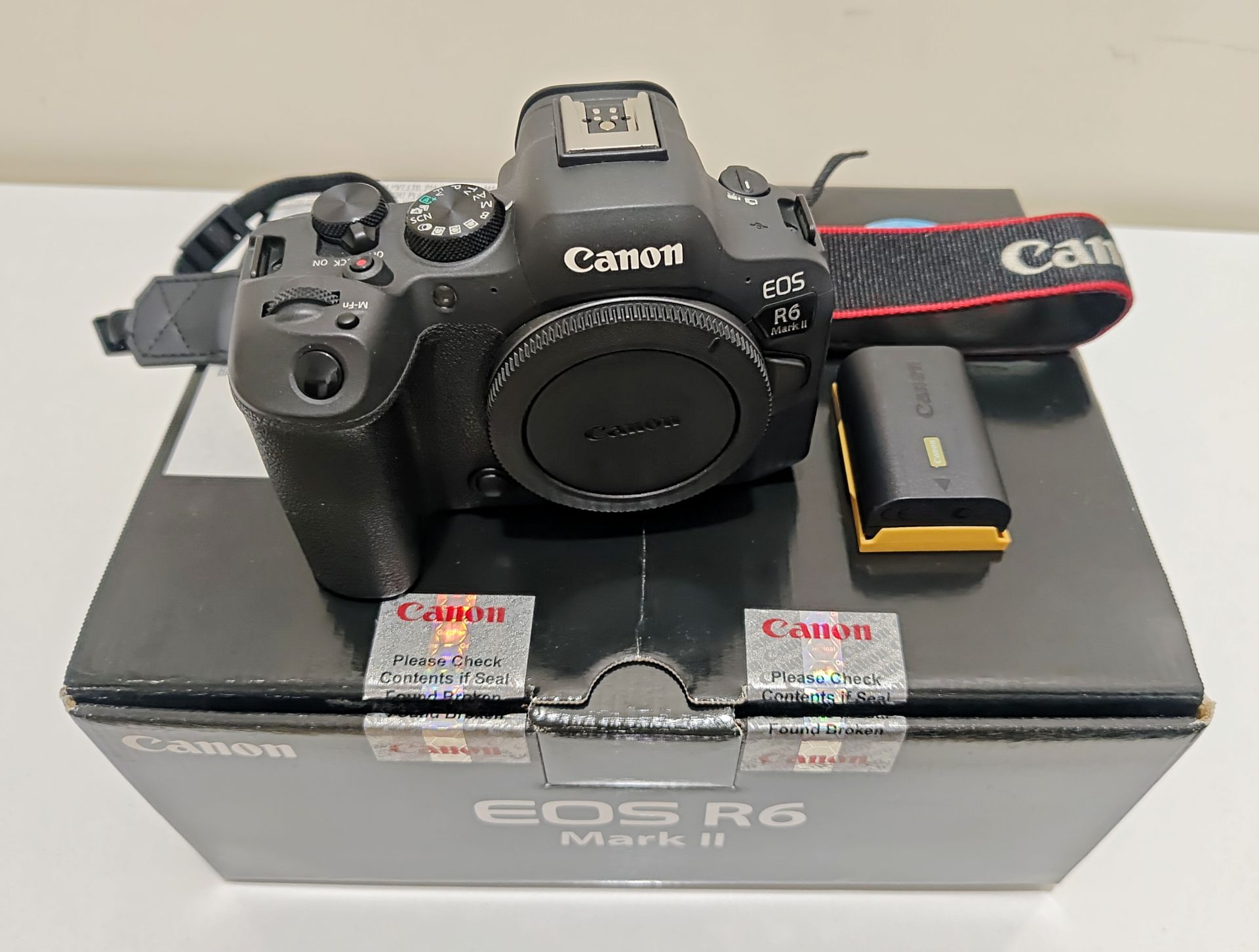 Canon R6 mark2 - Image 4