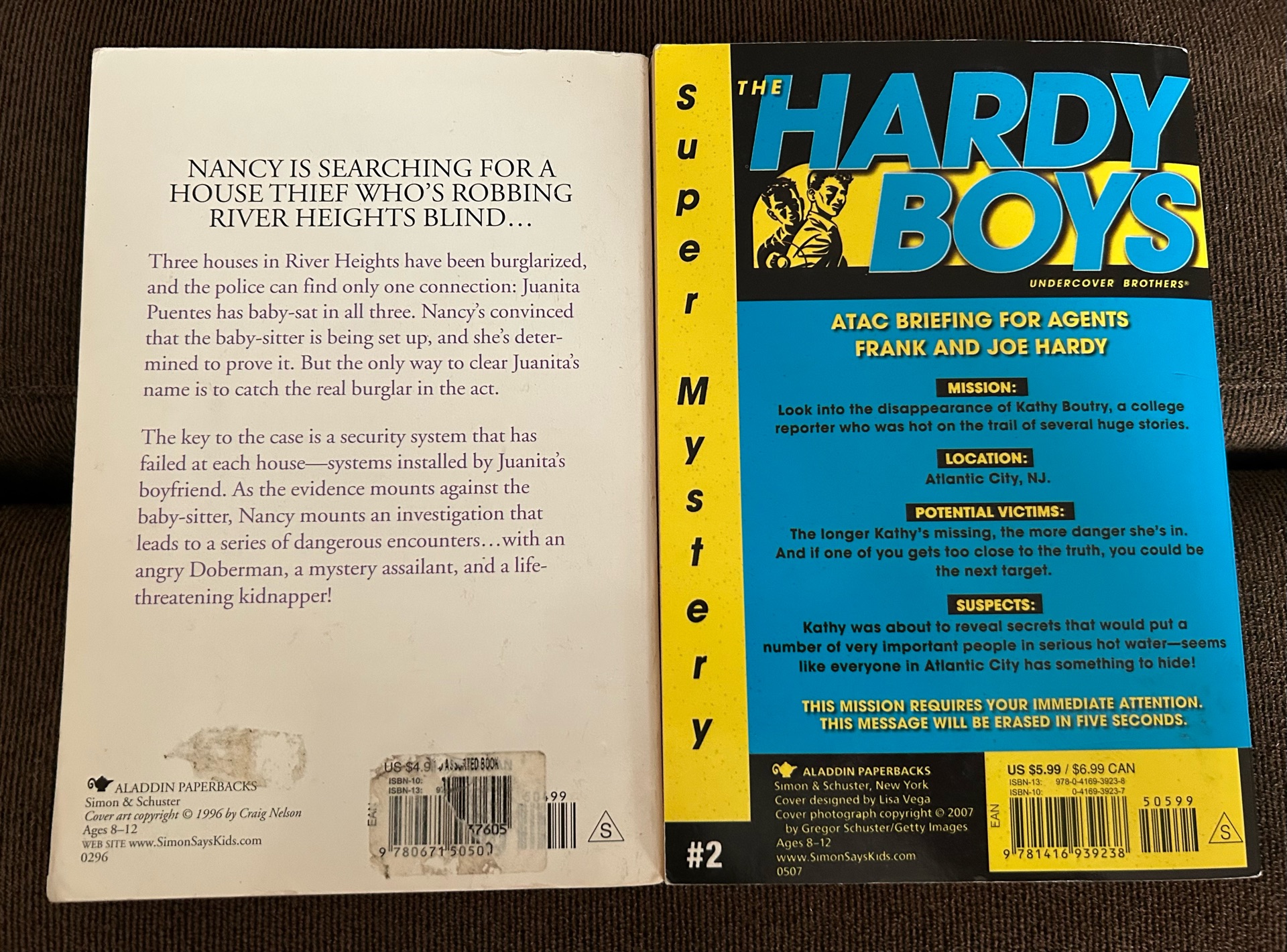 Hardy Boys Book - Image 2