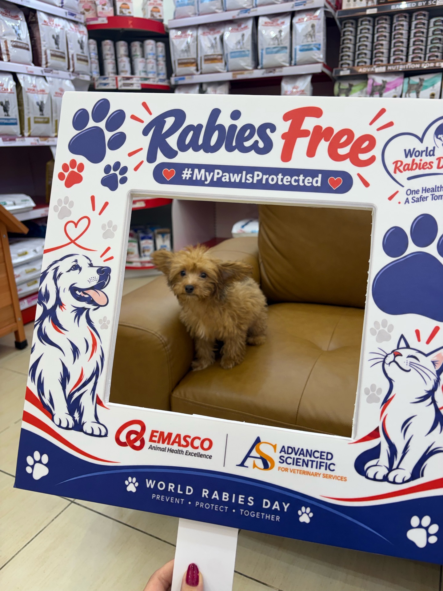 Doha Pet Services – Trusted Pet Care in Doha