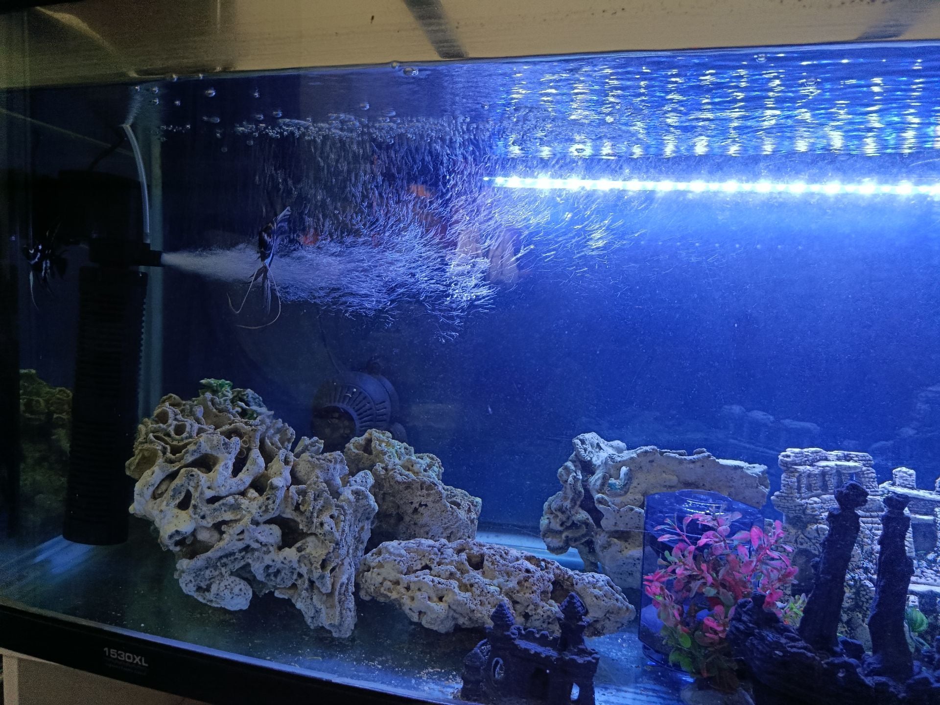 Aquarium for sale  - Image 4