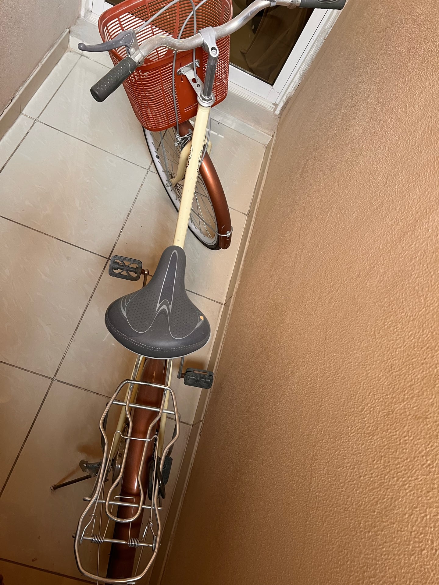 Lady’s cycle - Image 3