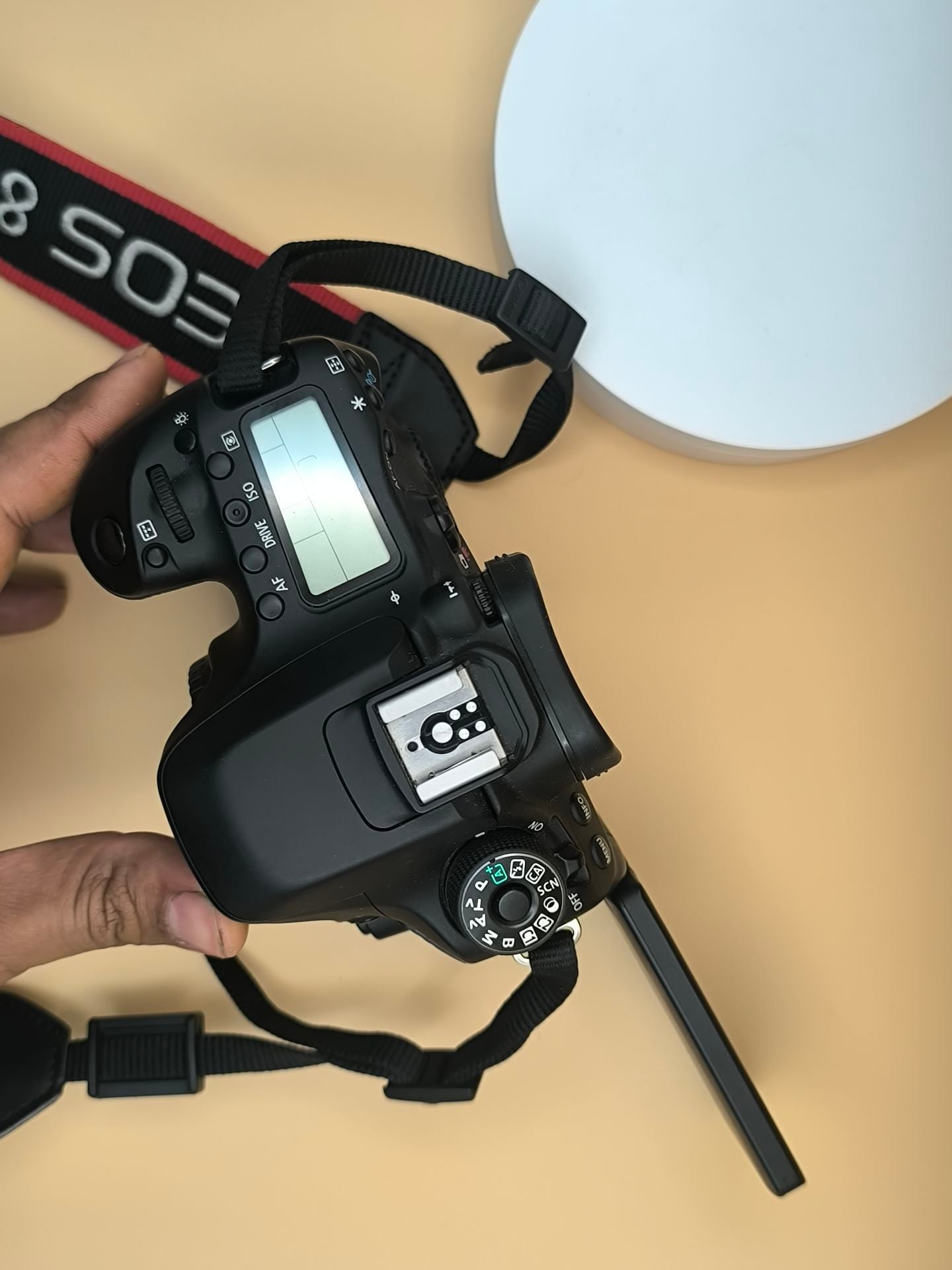 Canon 80 D camera fresh like brand new 2000 fixed - Image 2