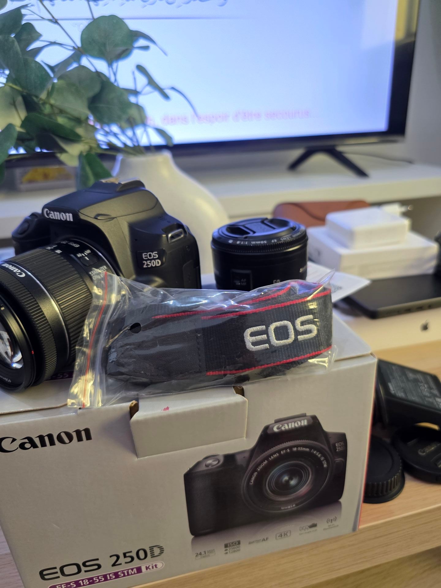 Canon Eos 250D EF-S 18-55 IS STM + Canon 50mm - Image 4