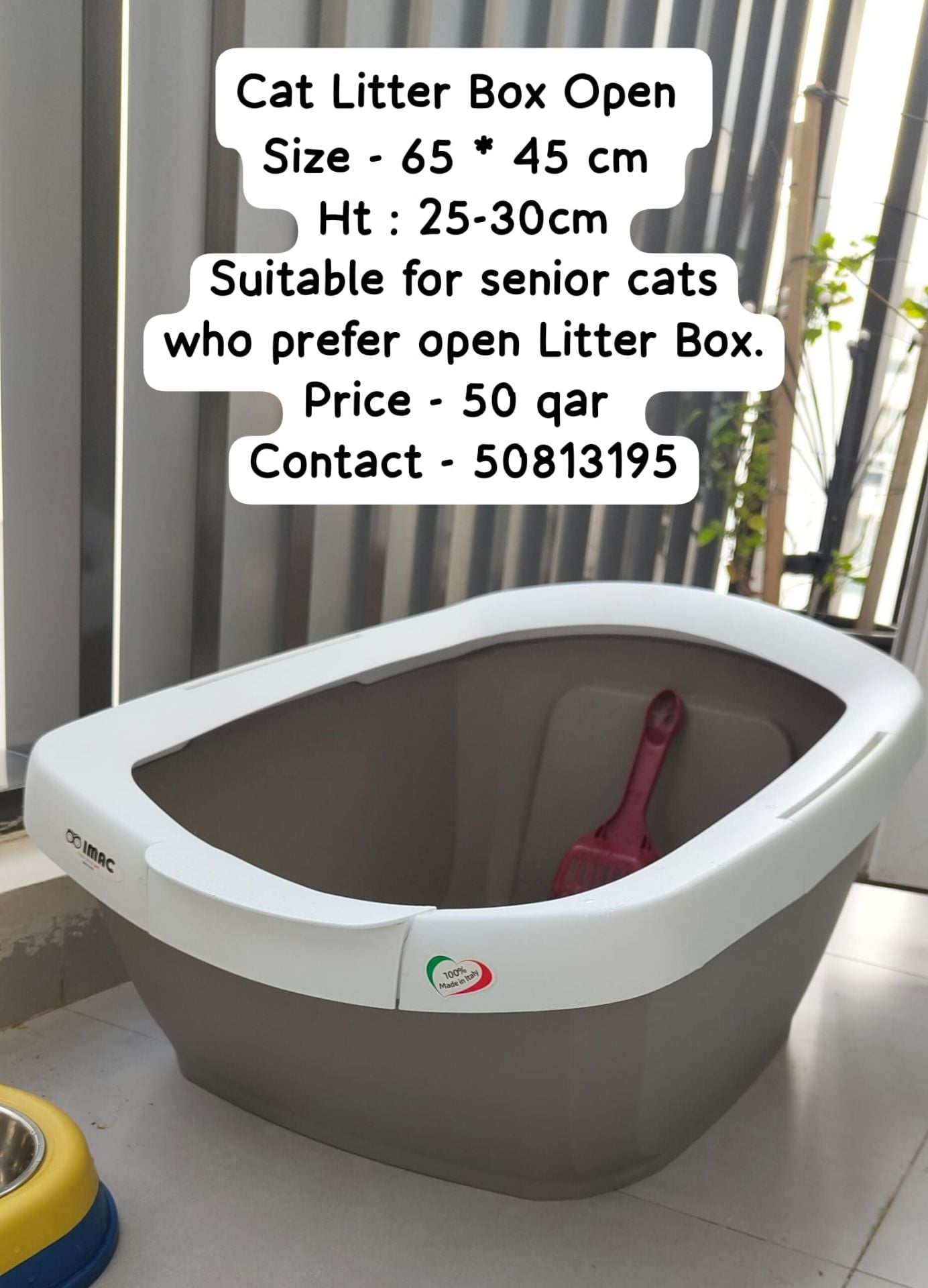 Carrier, Litter Box etc ... - Image 2