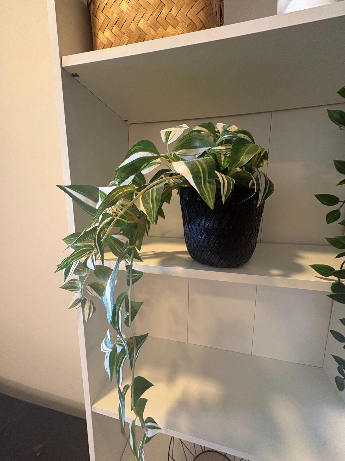 IKEA Bookcase for Sale - Image 3