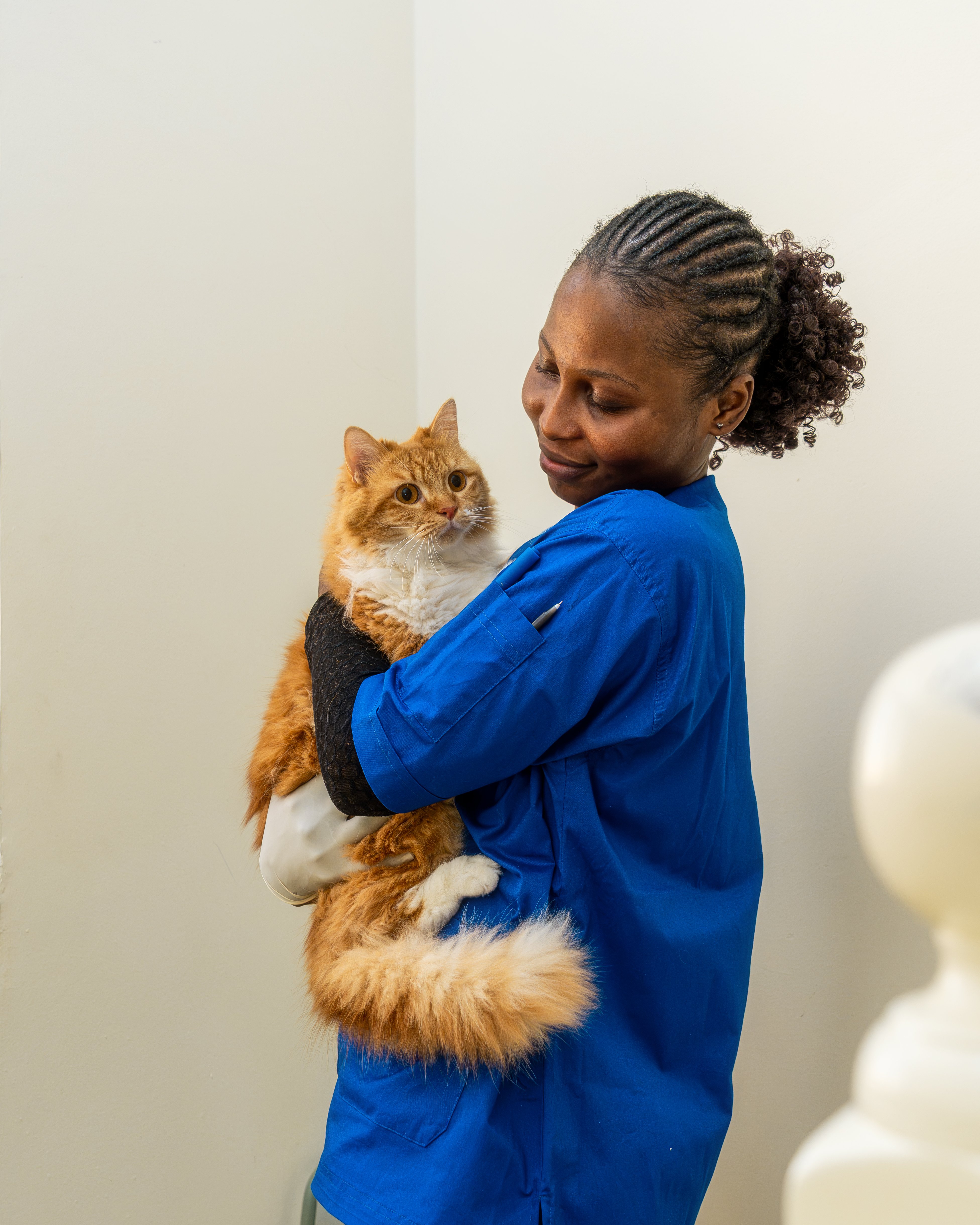 Trusted Veterinary Care in Doha | Oryx Veterinary Center - Image 2