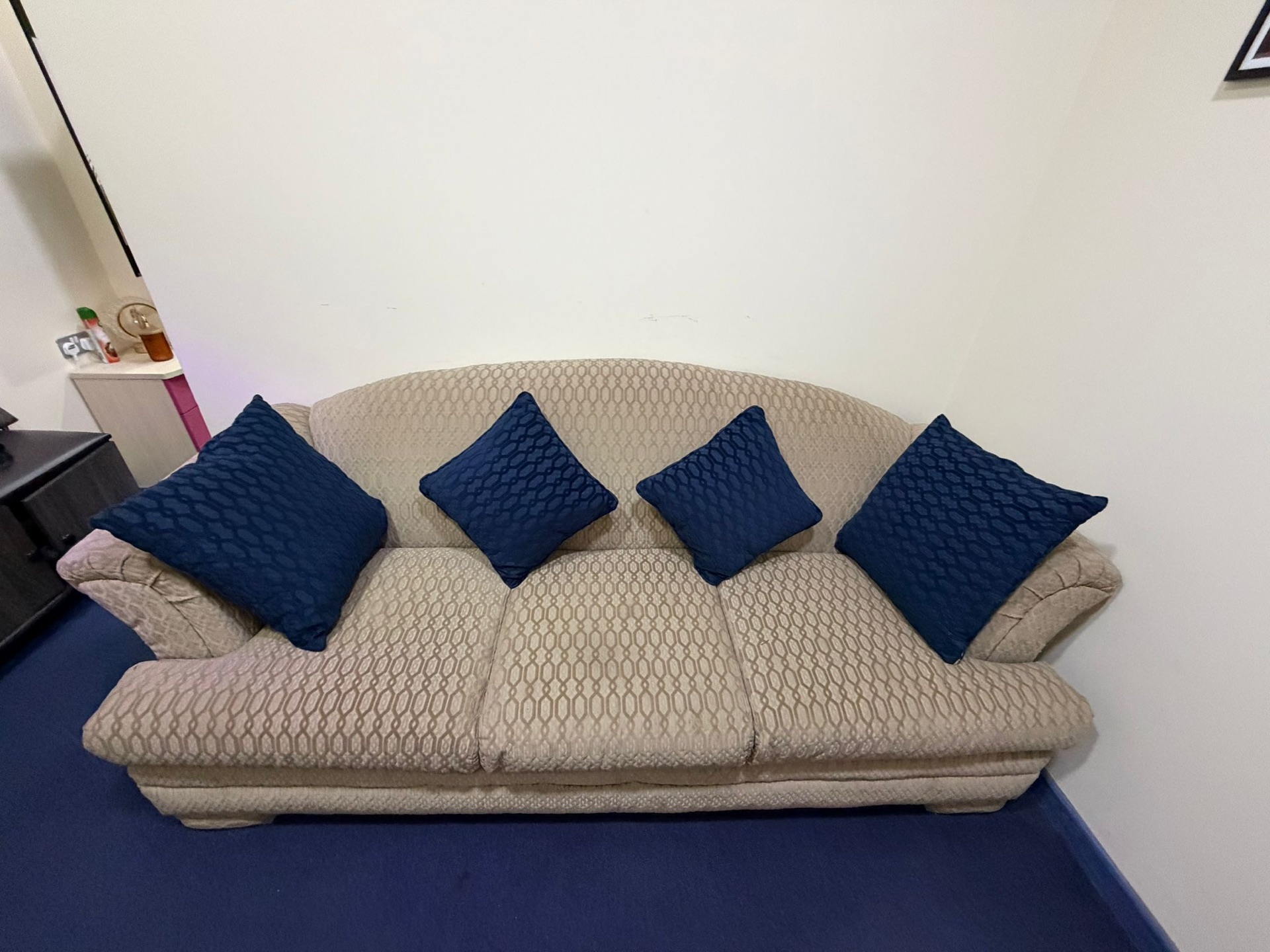03 seater sofa with pillow - Image 4