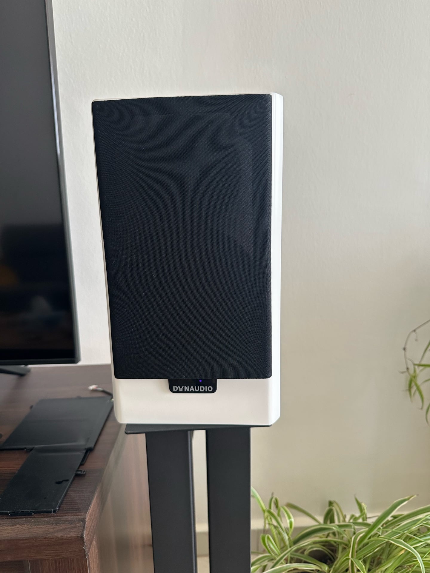 Dynaudio XEO20 active wireless HI-FI speakers - Image 5