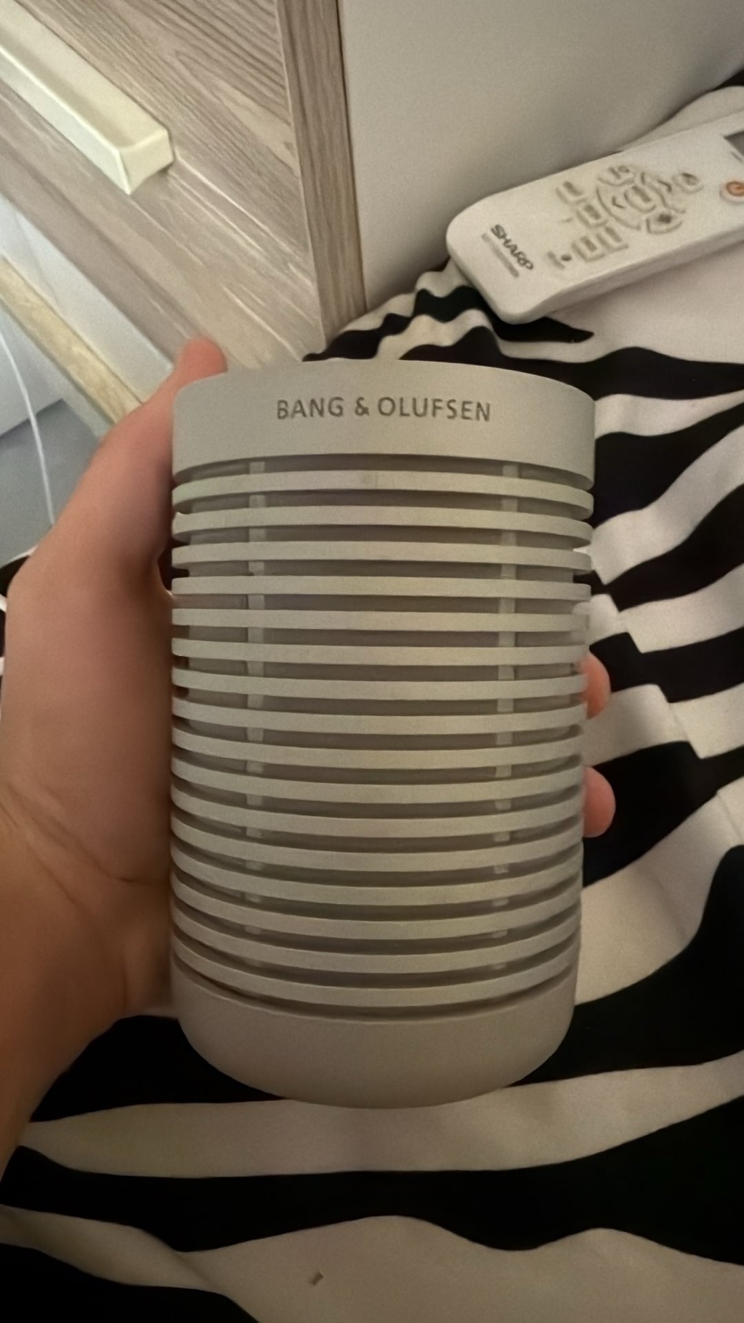 Bang & olufsen speaker - Image 4