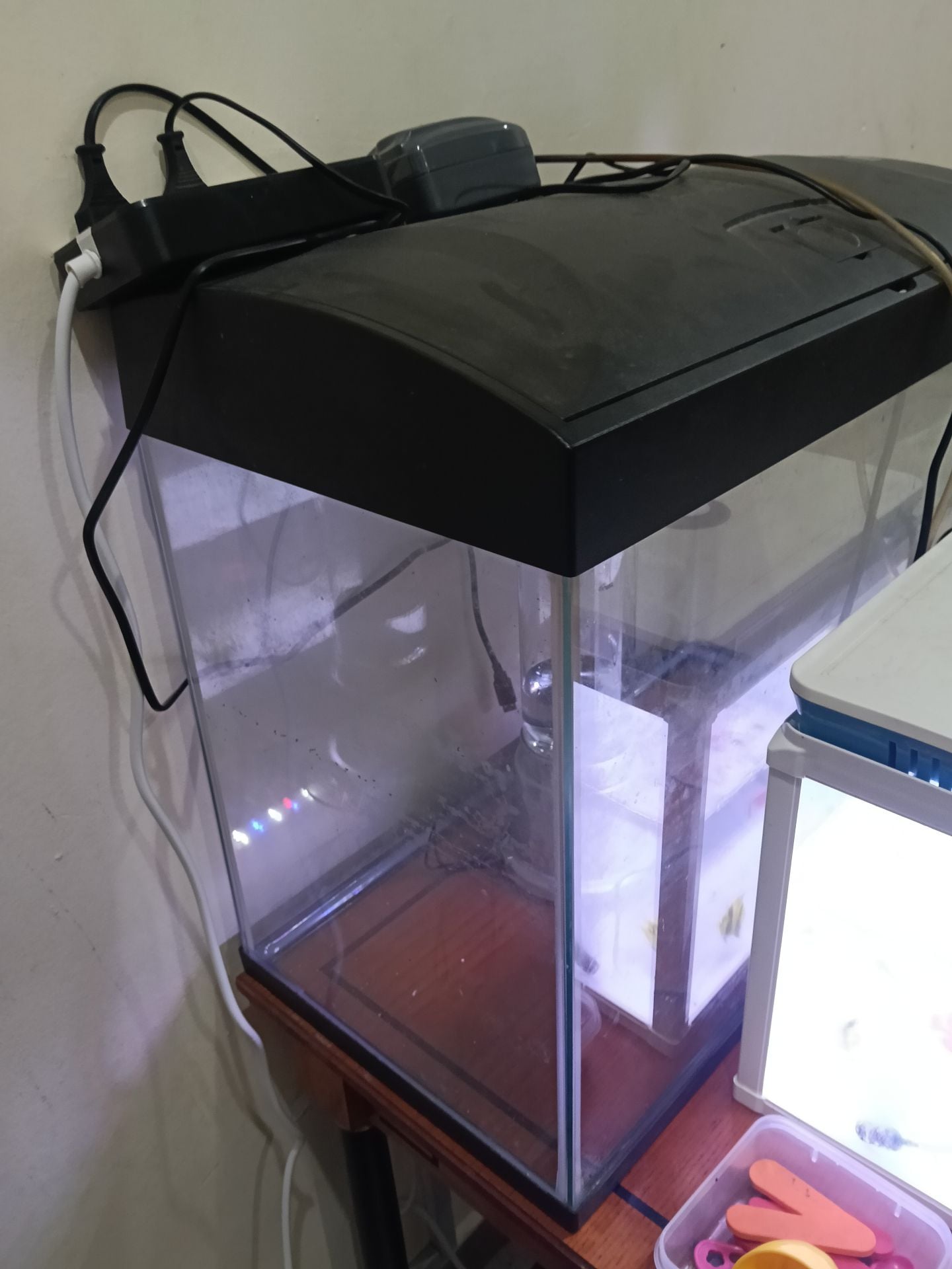 Fish tank  - Image 6