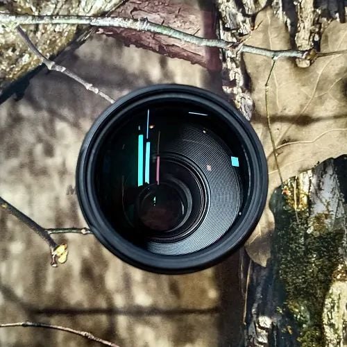 Canon 75-300mm zoom lens full fresh - Image 3