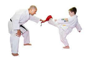 Martial Arts / Karate Do/ Weight Loss & Fitness Training - Image 4