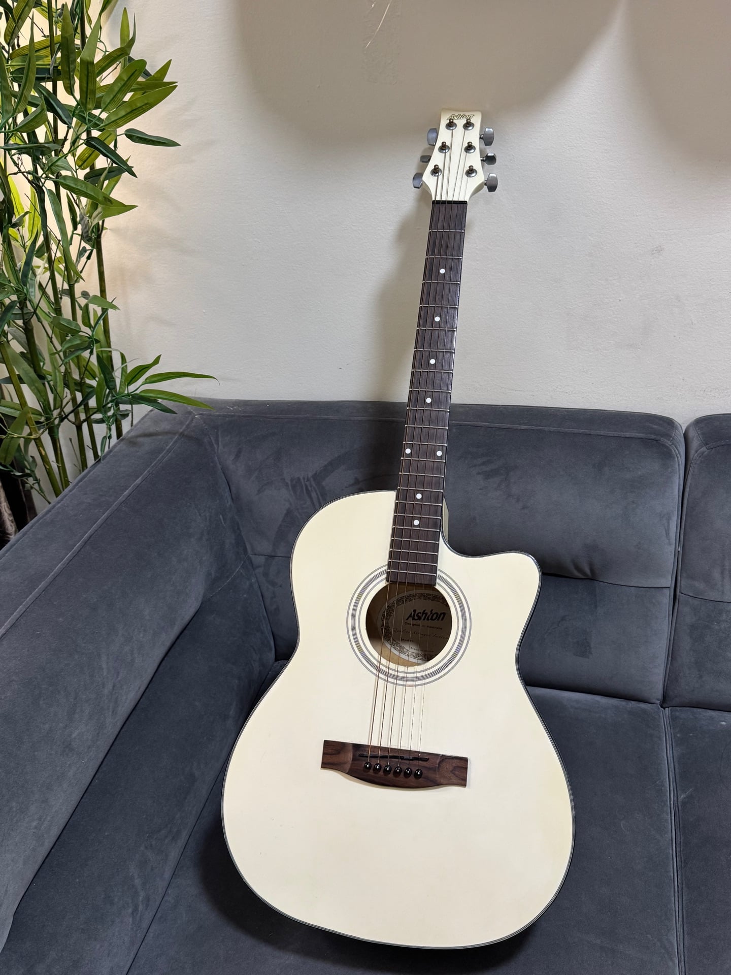 Ashton acoustic guitar - Image 2