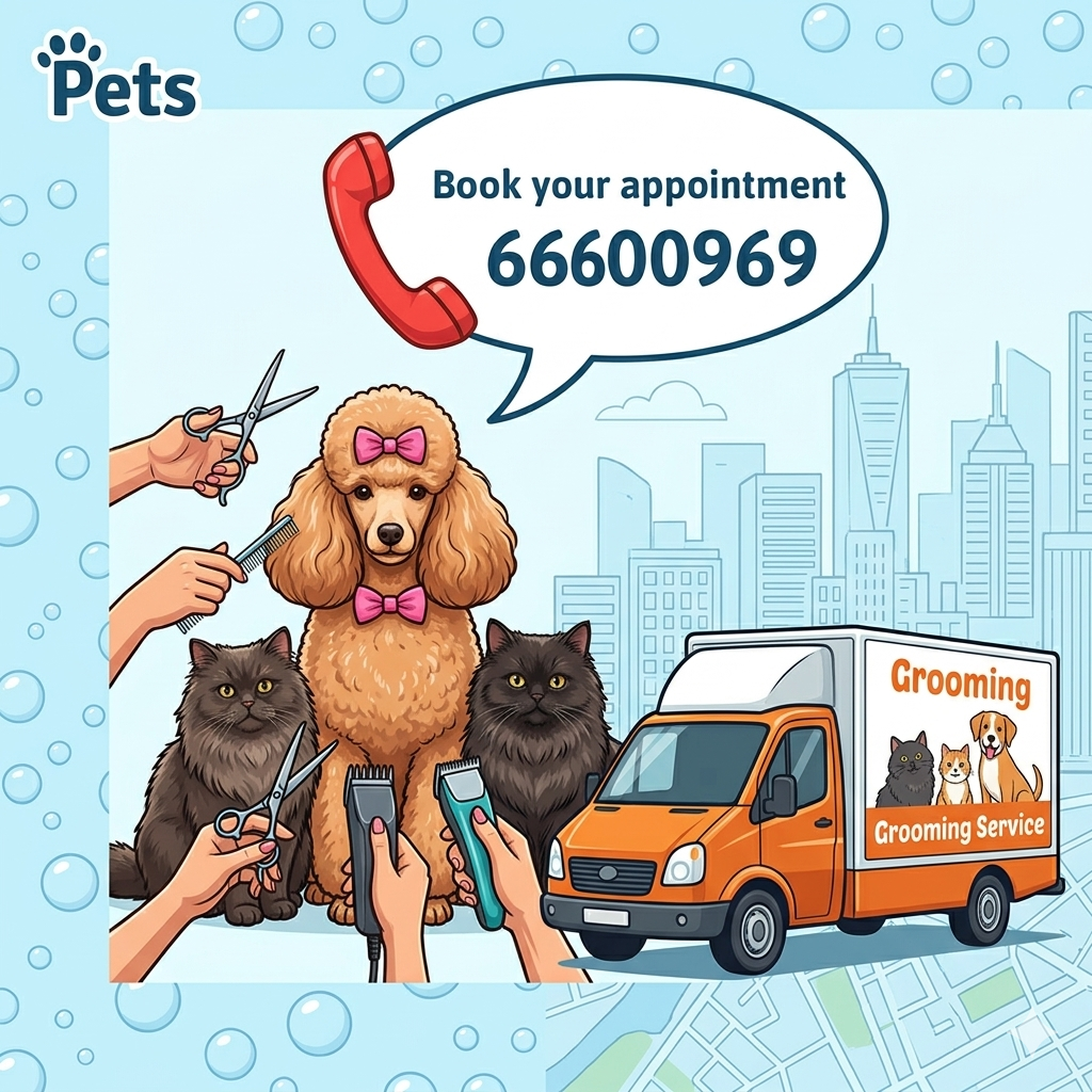 Mobile Pet Grooming Van | We Come to You | From 150 QAR | Qatar - Image 3