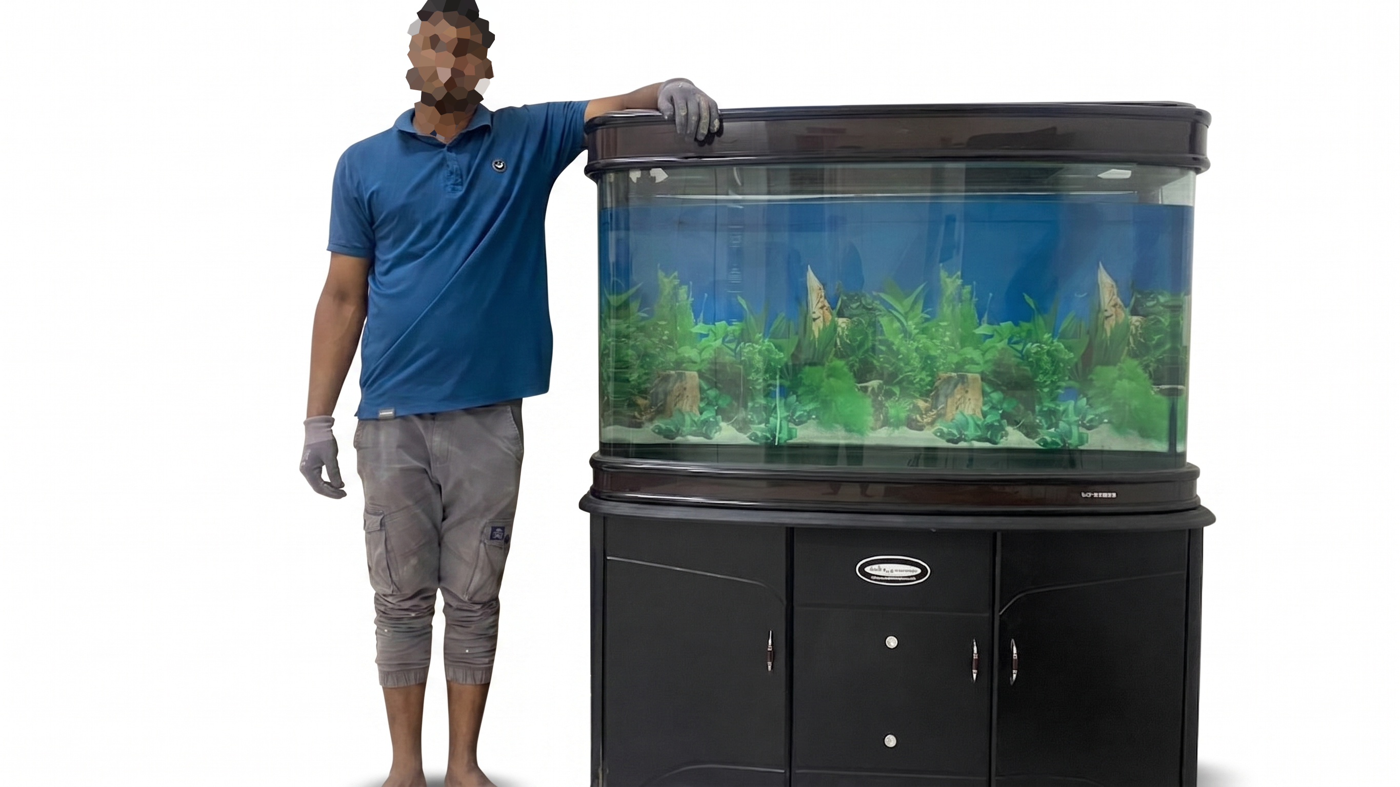 VERY BIG FISH TANK WITH SEPARATE FILTER SYSTEM FOR SALE  - Image 2