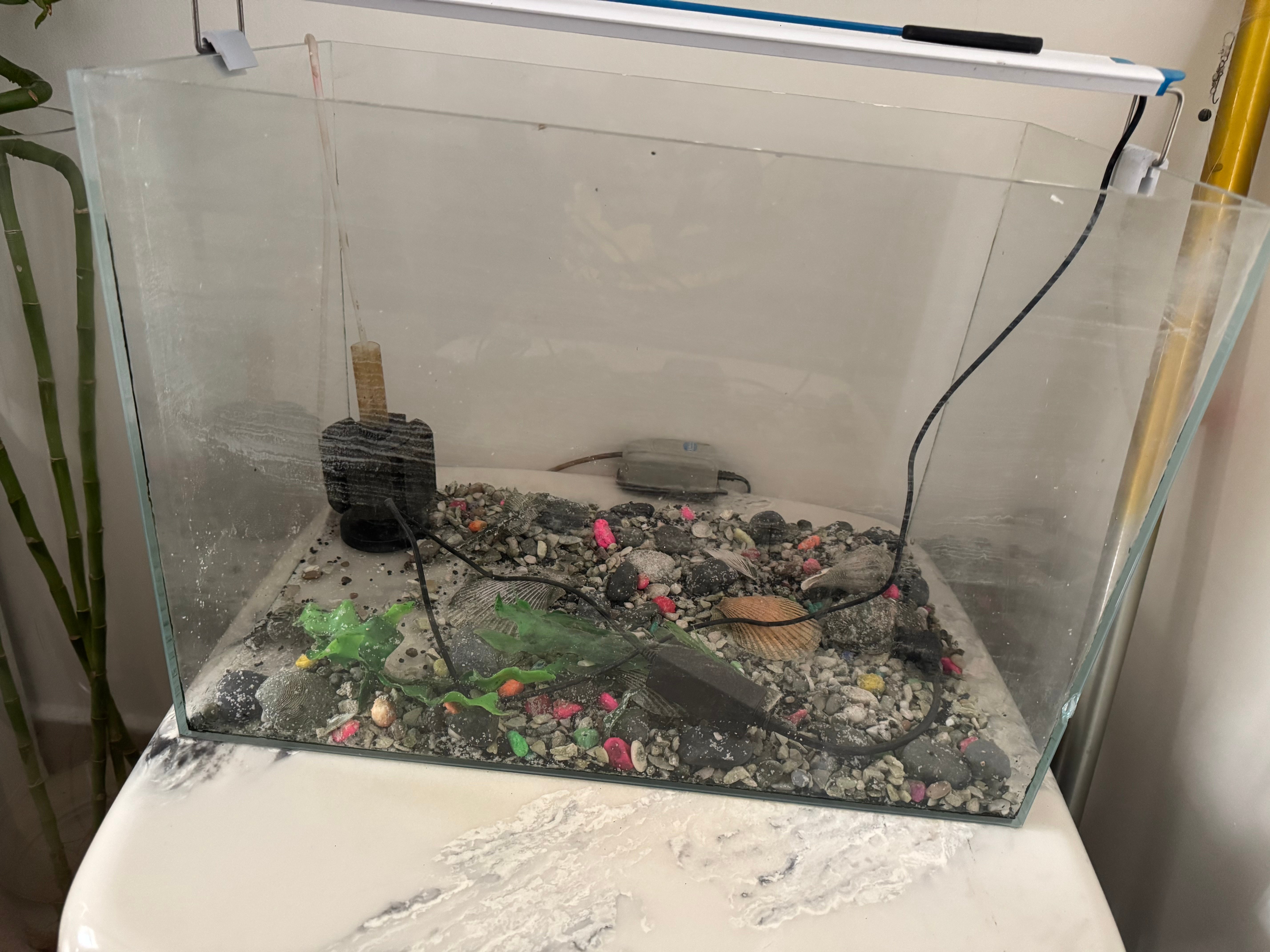 Fish tank - Image 2