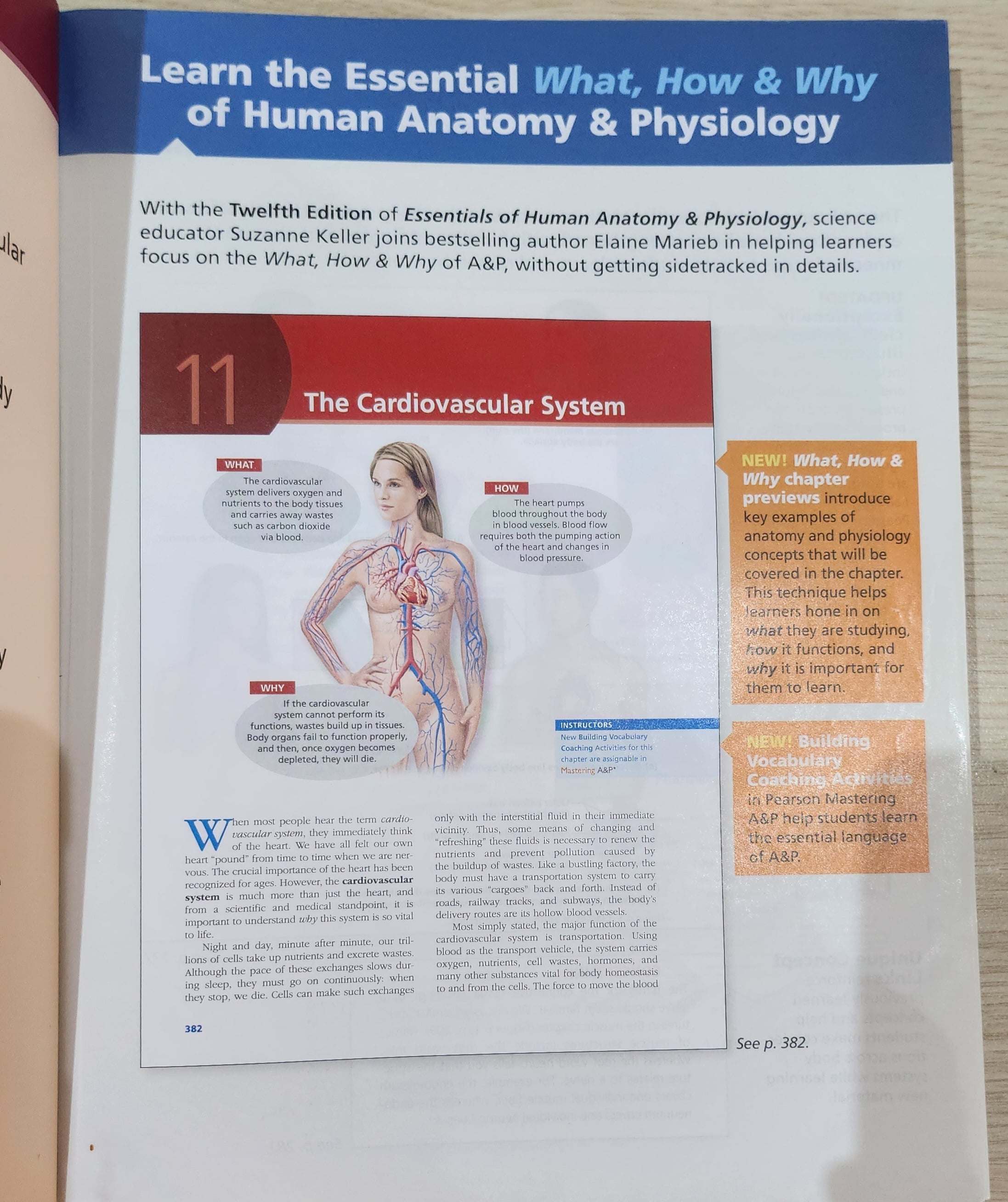 Slide 3