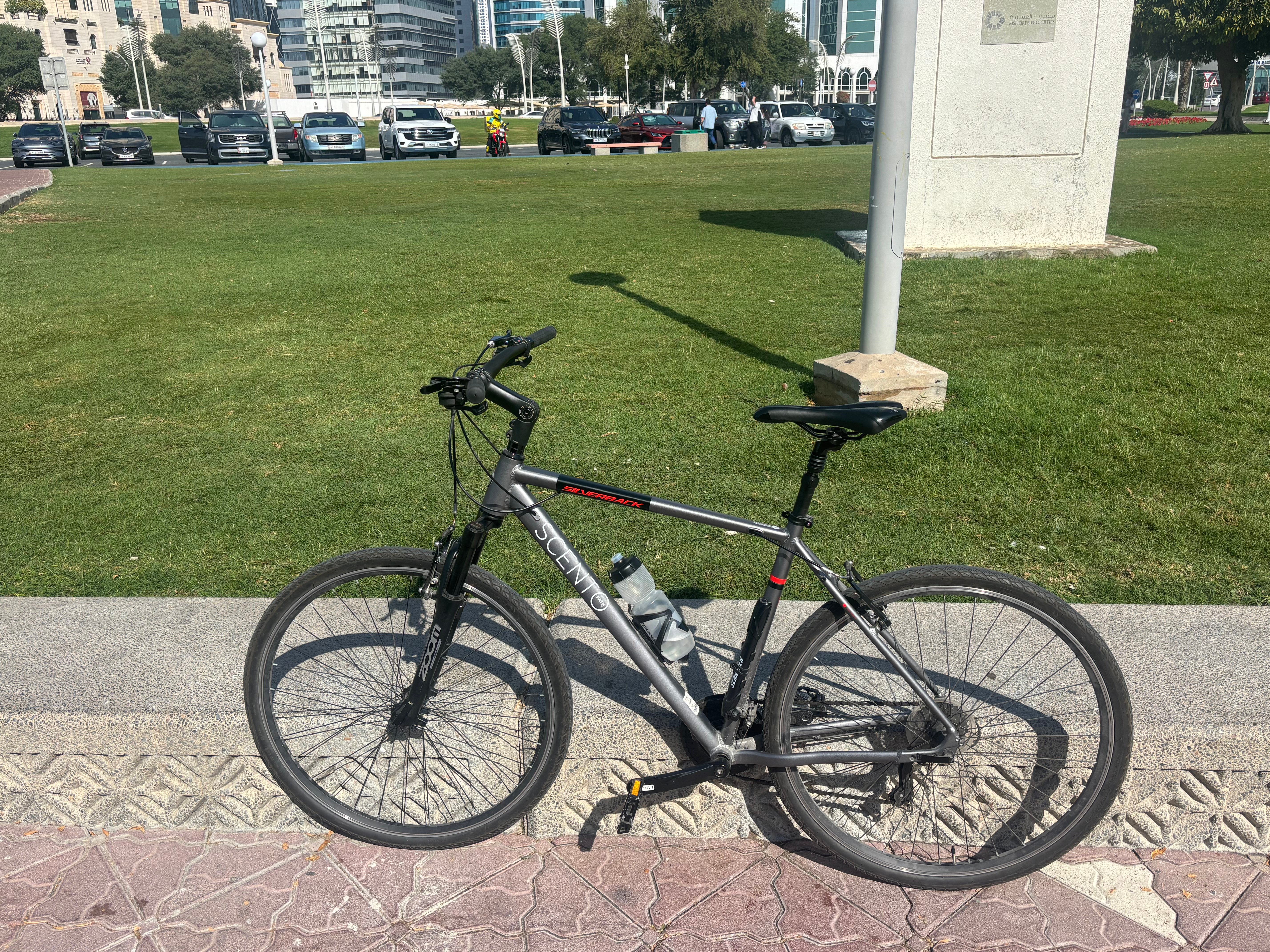  Silverback large bicycle  - Image 2