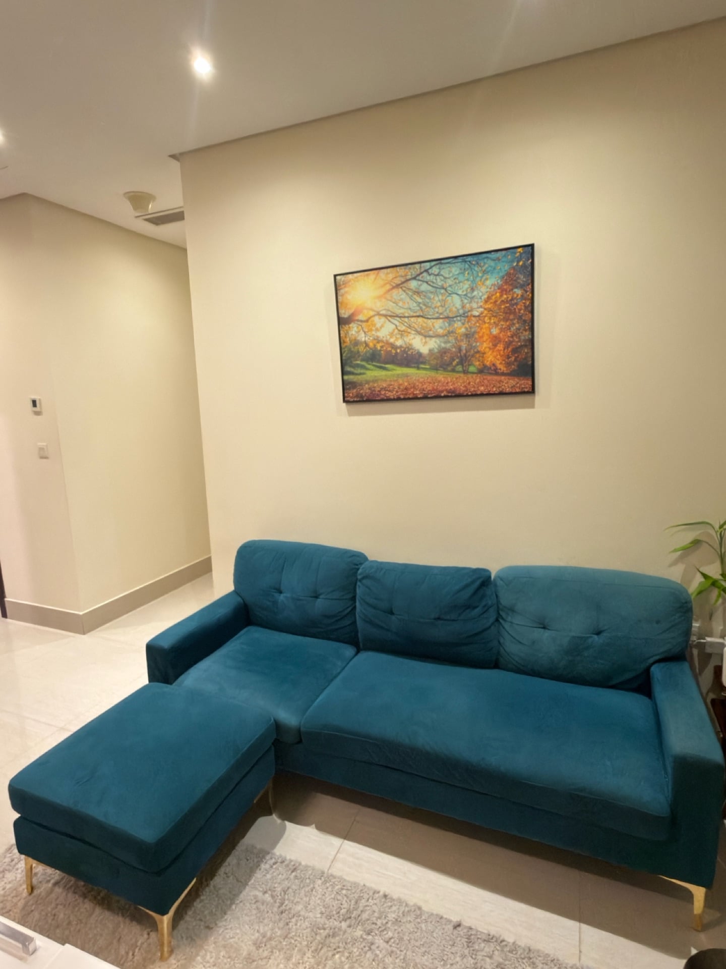 Corner Sofa - Image 5