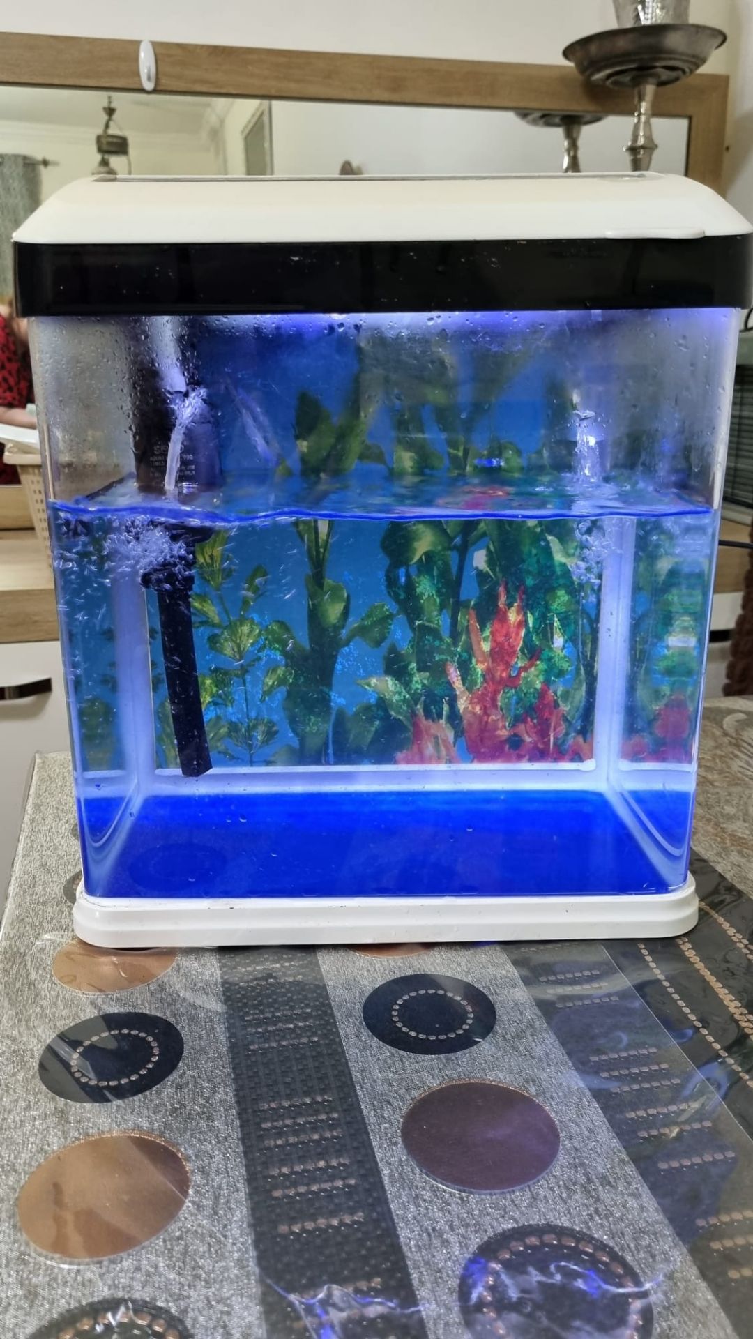 Selling fish tank with stone and accessories for decoration  - Image 5