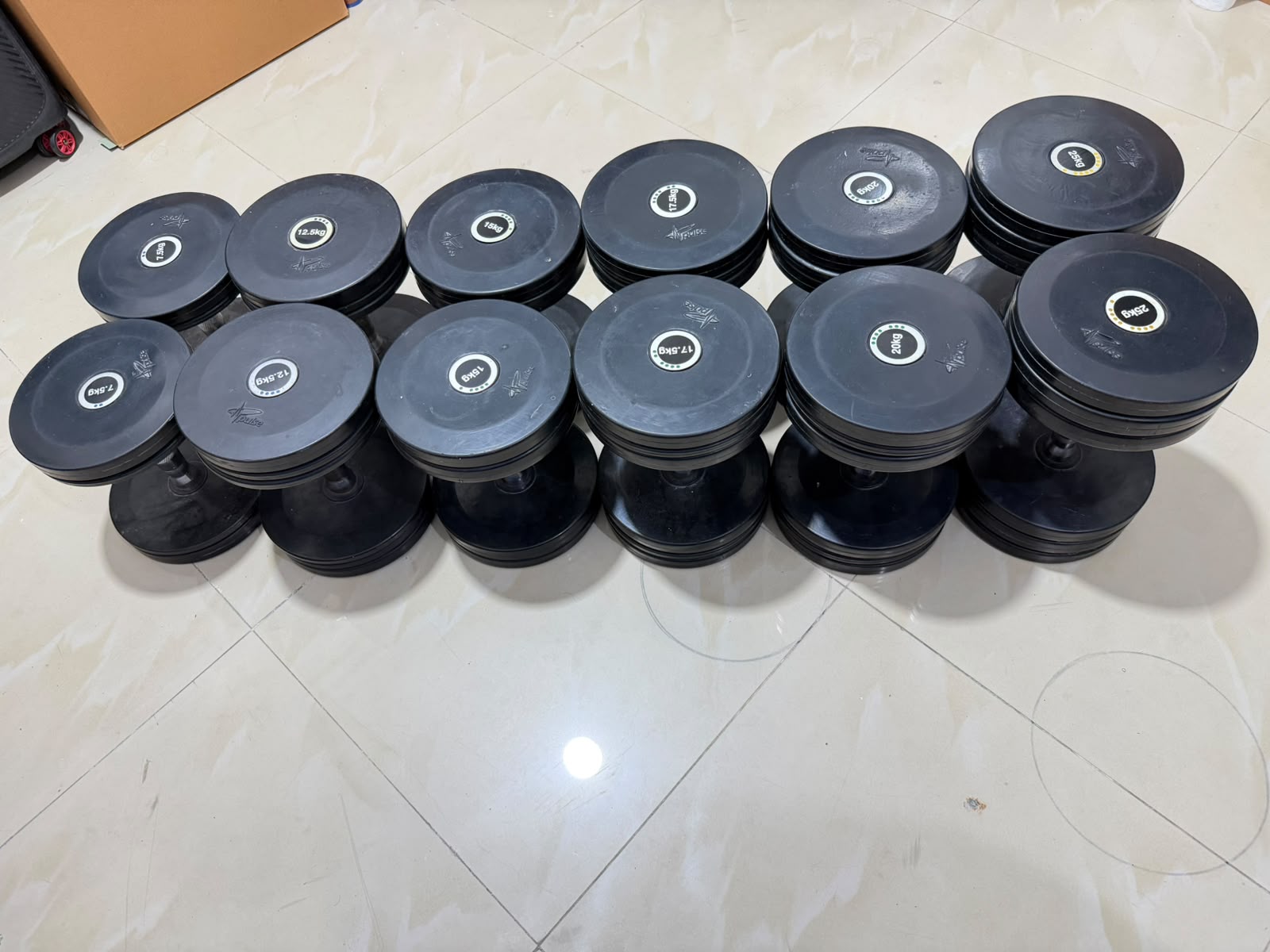 Dumbbell Pulse brand - Image 4