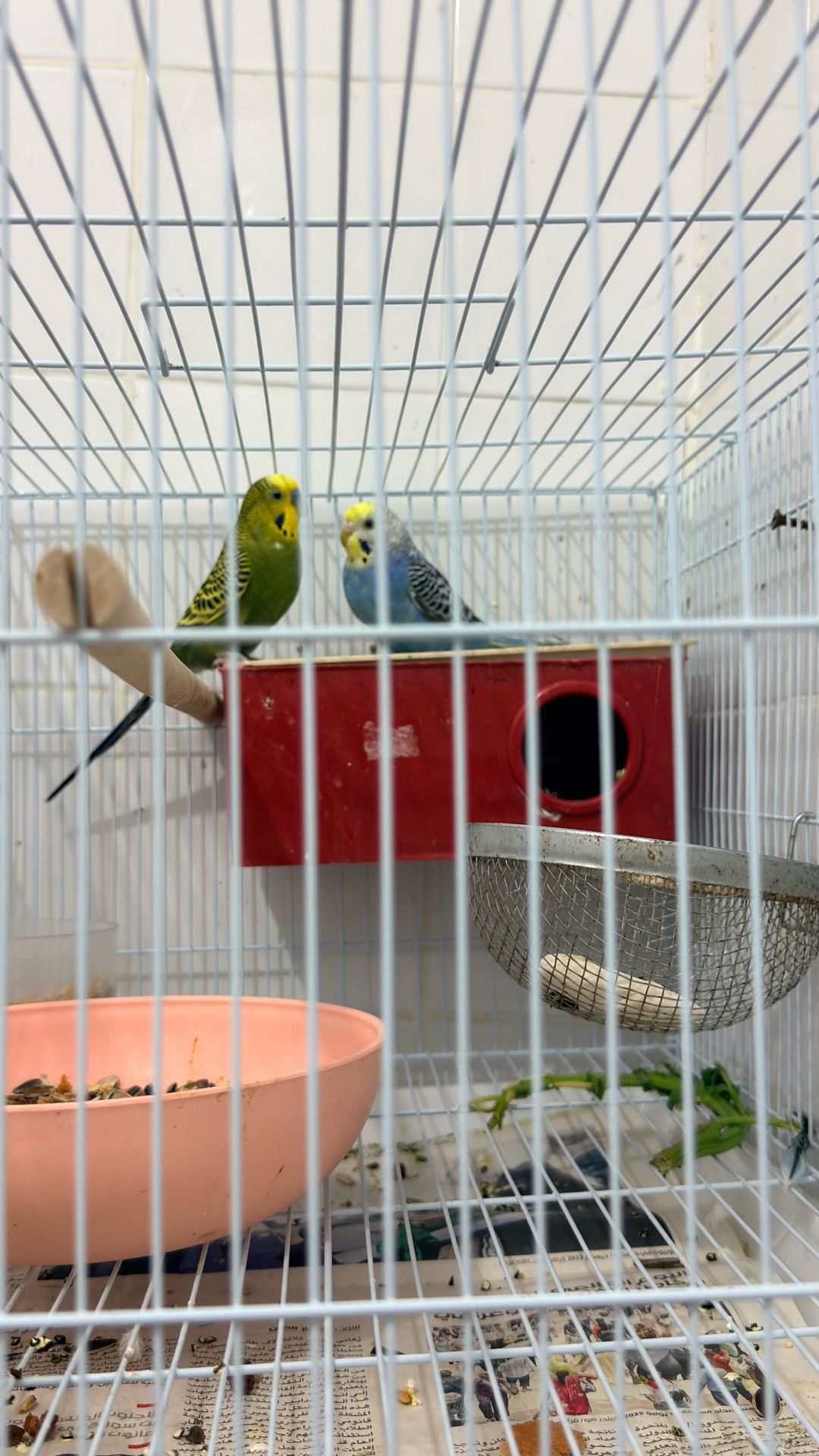 Slide 4