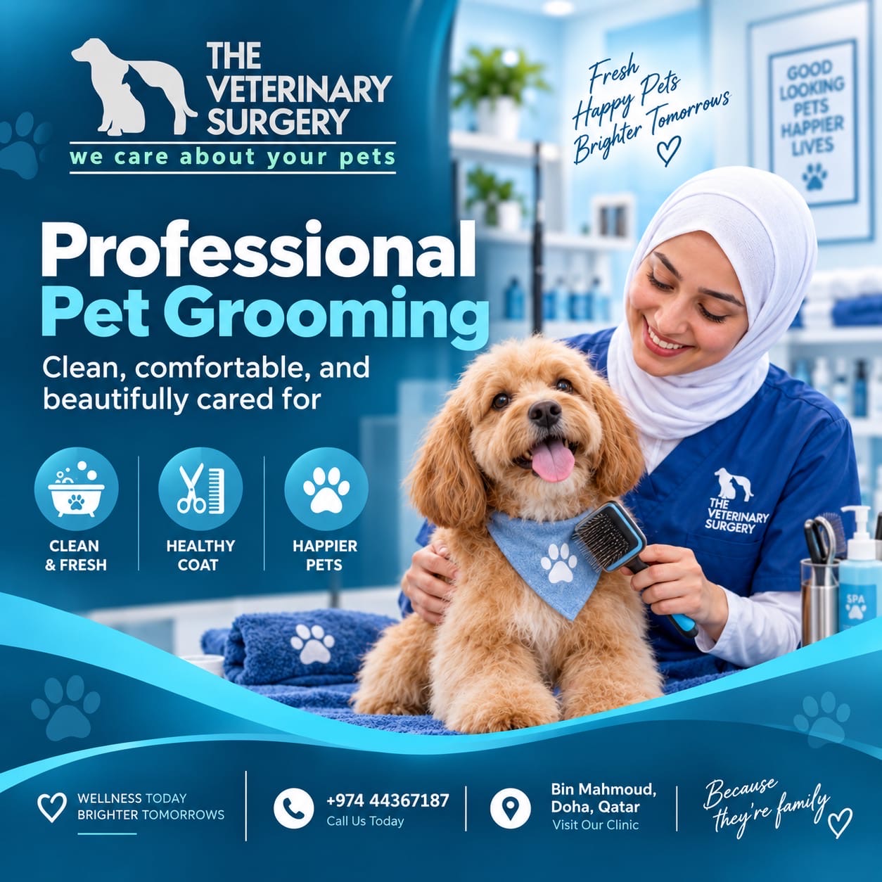 Doha Pet Services – Trusted Pet Care in Doha