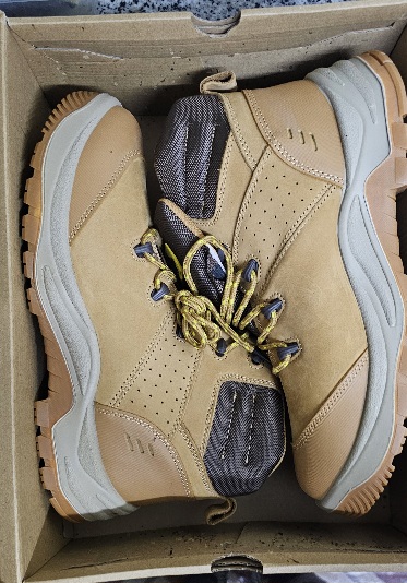 Ambers Safety Shoes - Image 1
