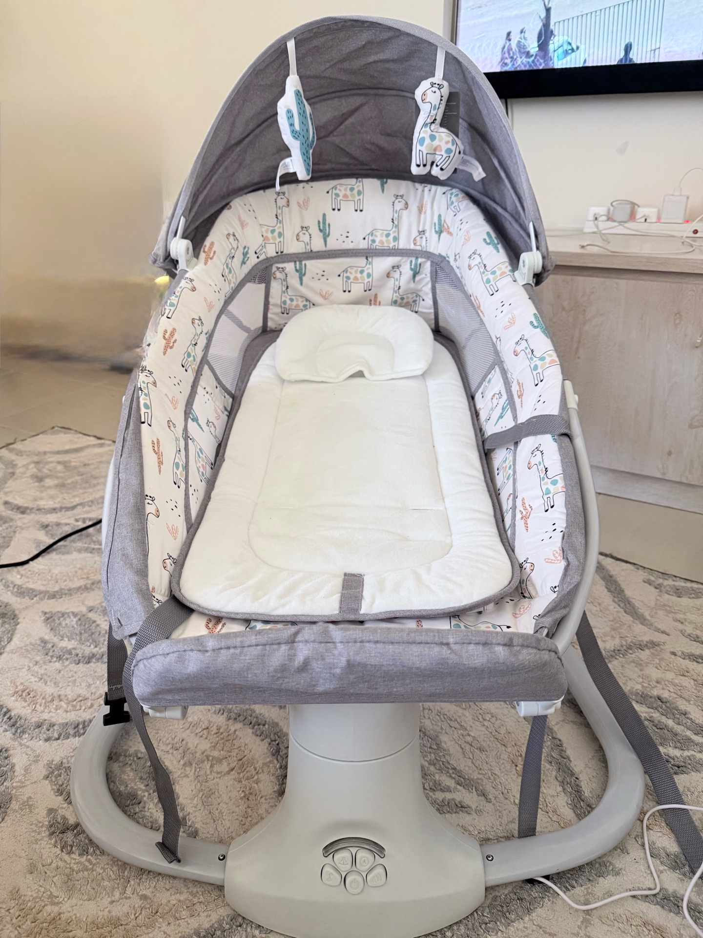 Electric swing with remote  - Image 4