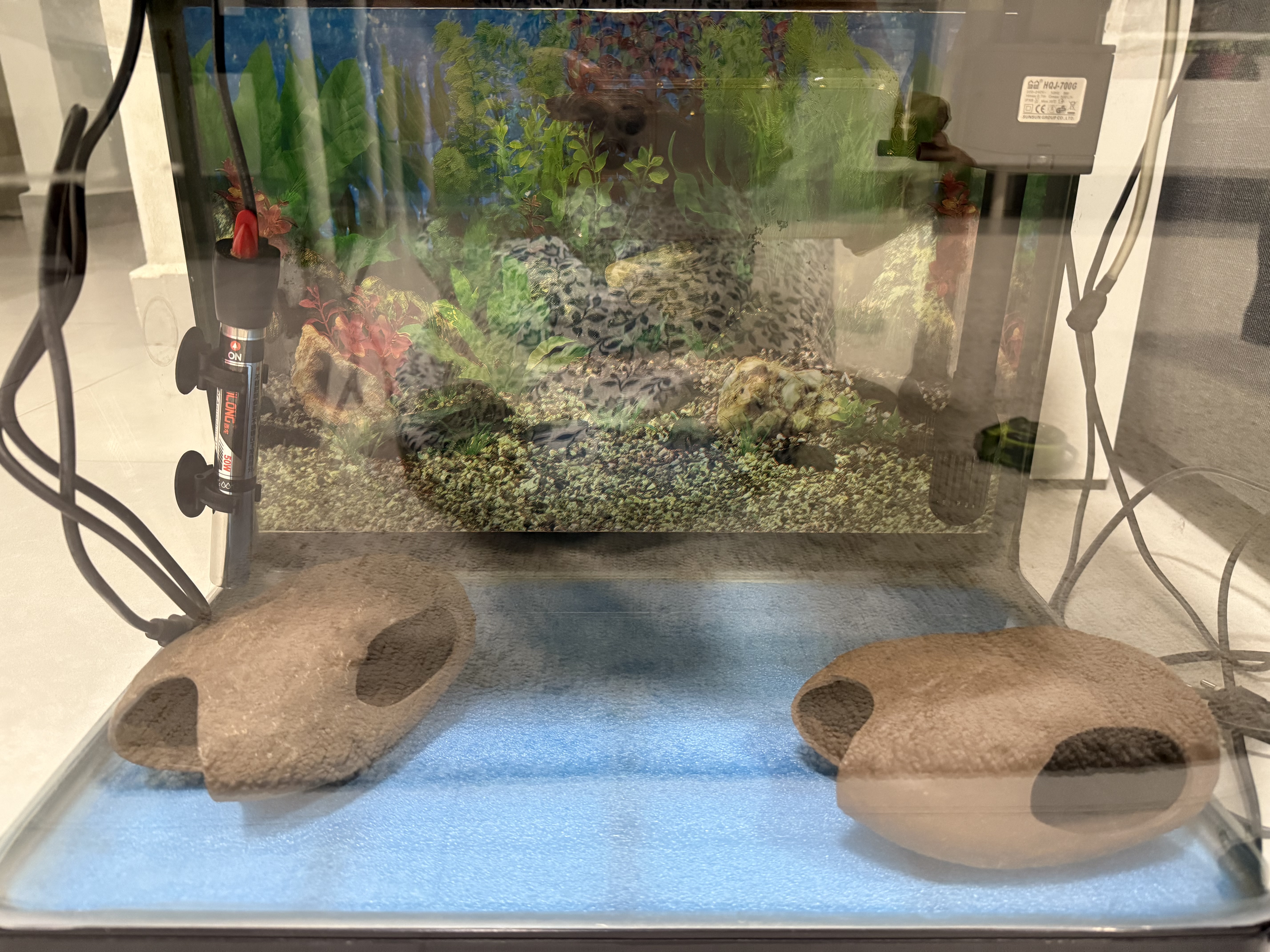 Fish tank Length 50cms,width 30cms,height 40cms - Image 5