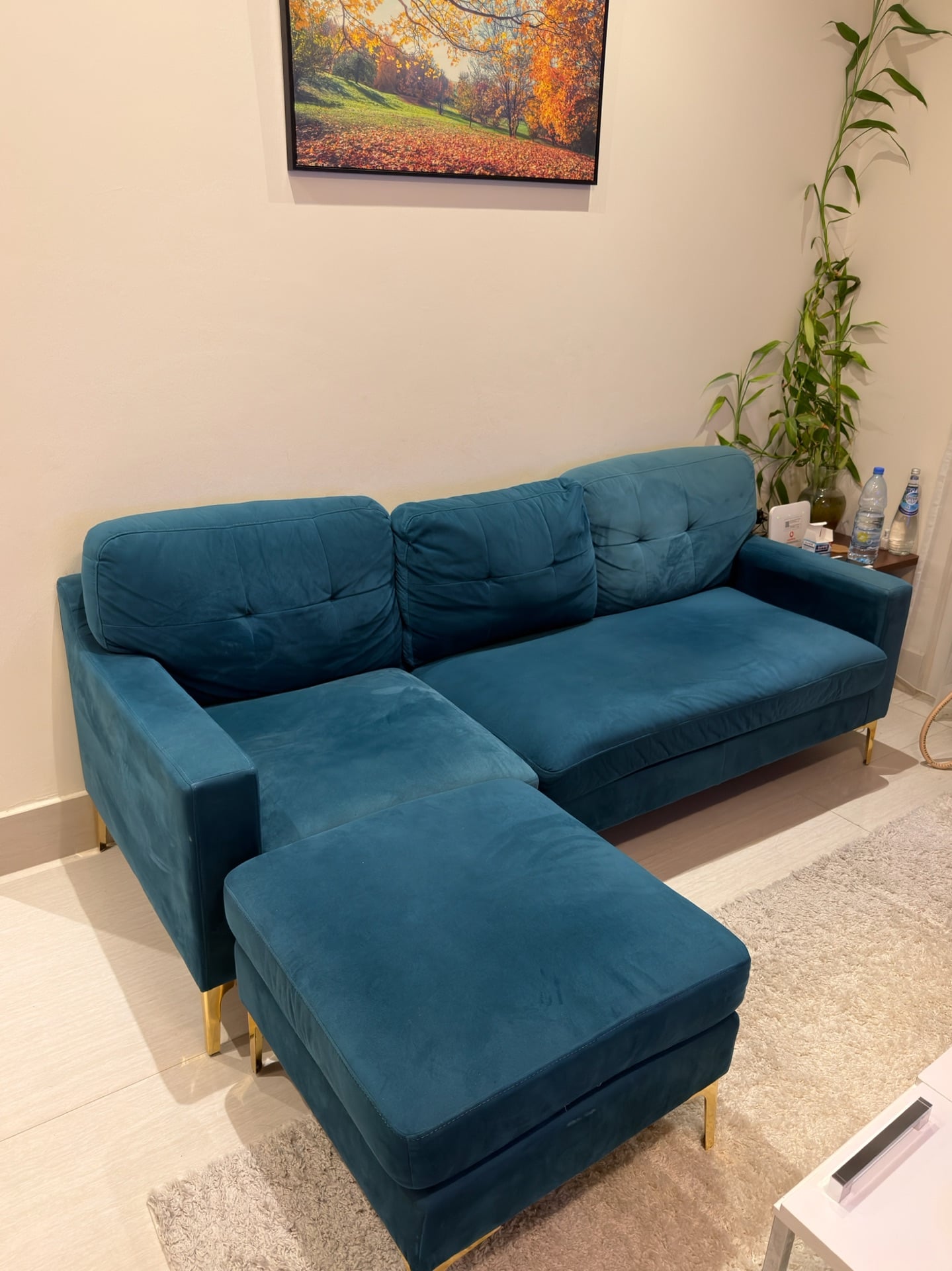 Corner Sofa - Image 3