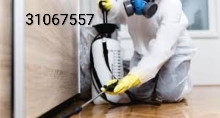 Professional cleaning and pest control services in Qatar - Image 8