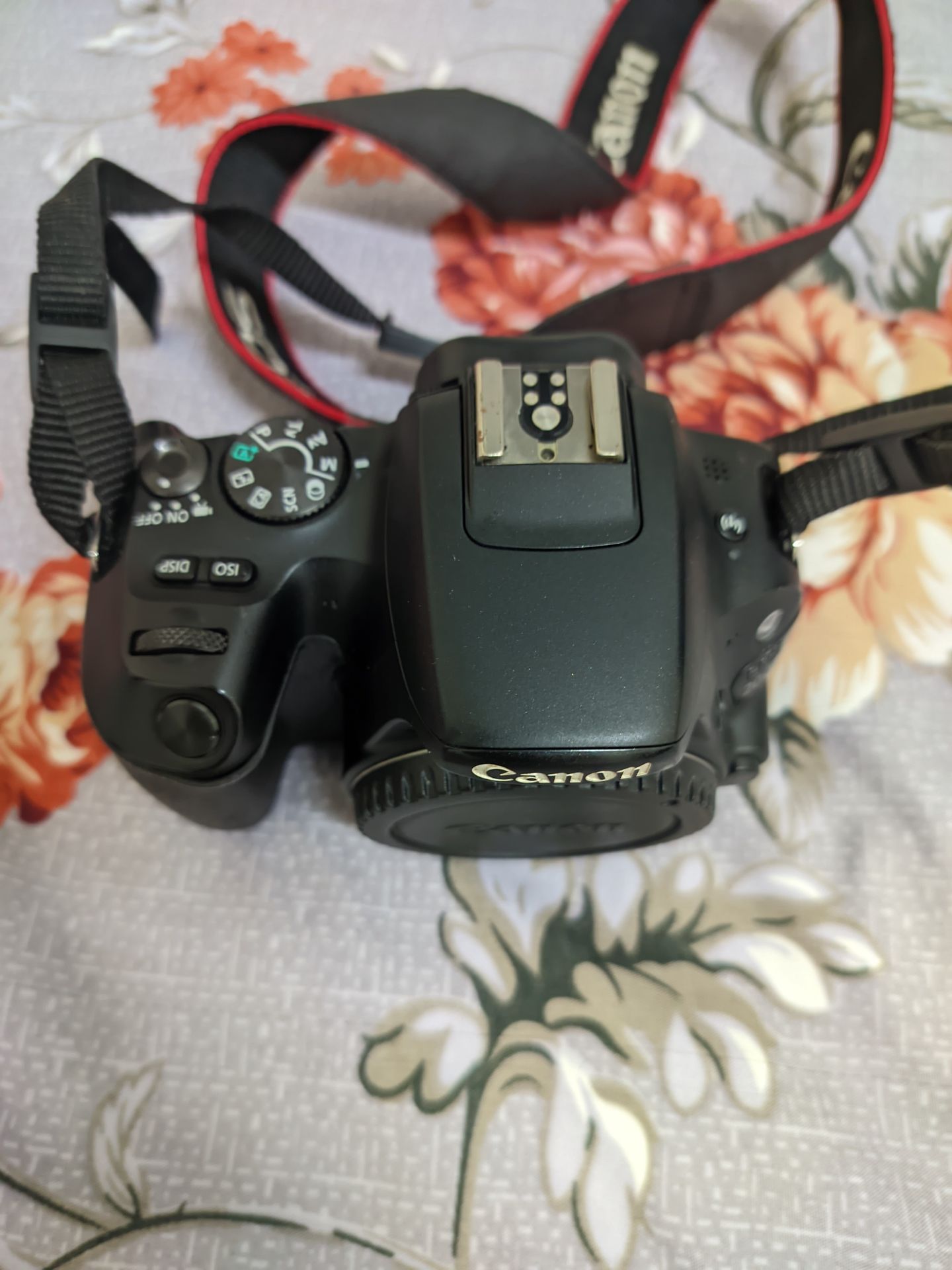 Canon  - Image 2