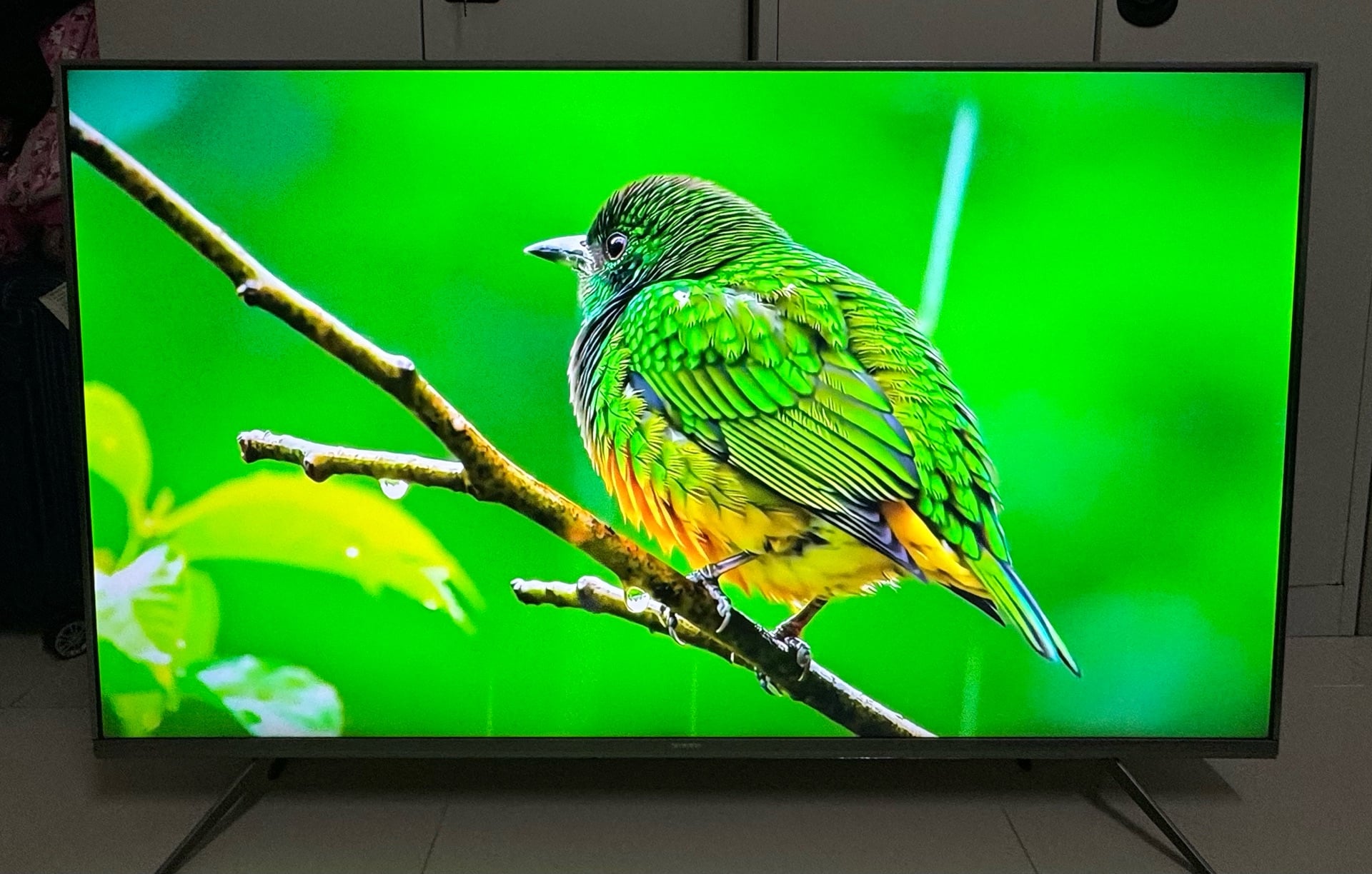 SKYWORTH 50 “ QLED  4K GOOGLE TV-  - Image 5