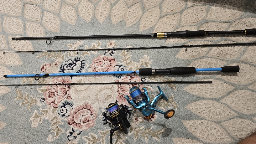Fishing rods + reels - Image 4