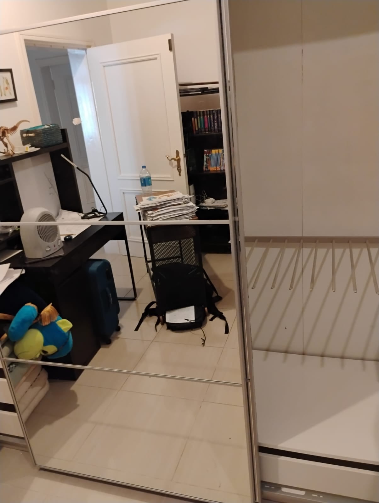 Closet 2 Sliding Mirror Doors 1 Wooden Cabinet Section - Image 8
