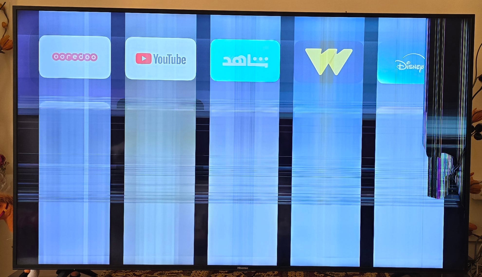 TV not working - Image 4